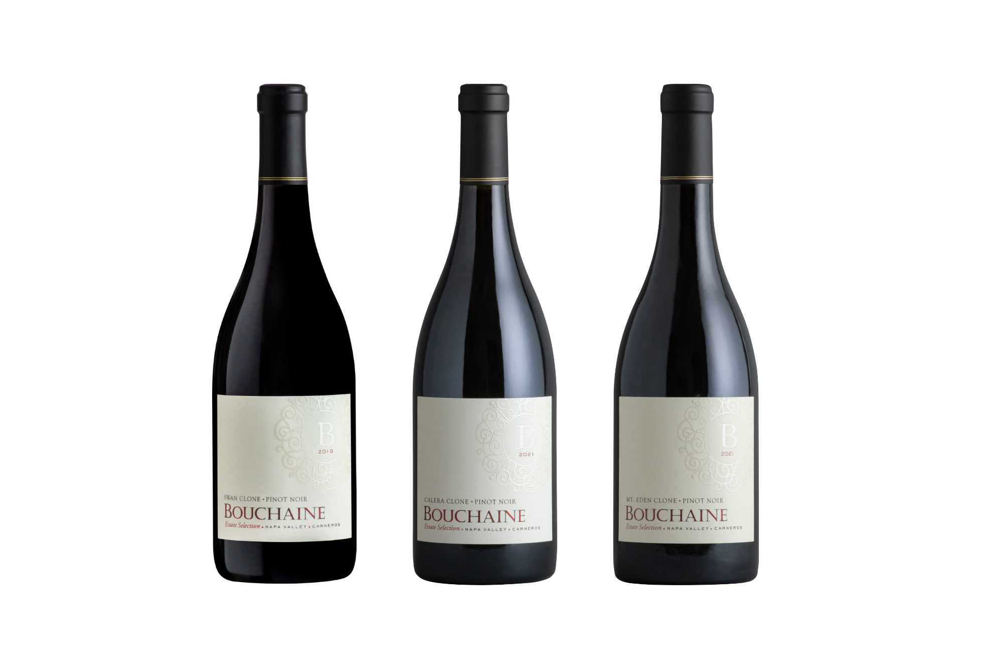 Unpacking the Story of Suitcase Clones Alcohol Professor