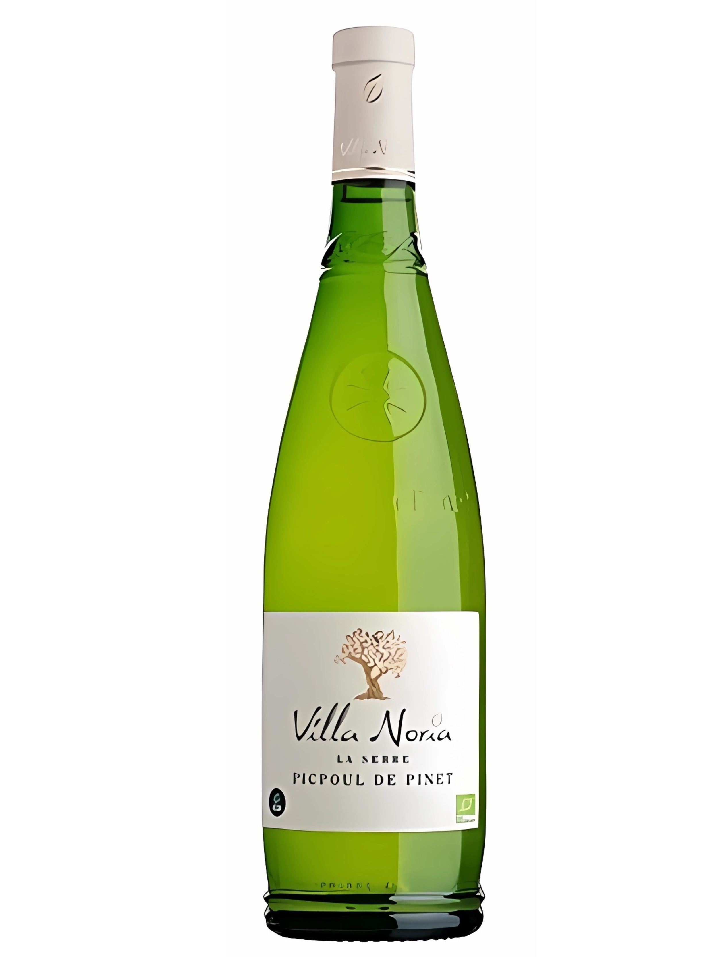 Pique Your Palate This Summer With Picpoul de Pinet | Alcohol Professor
