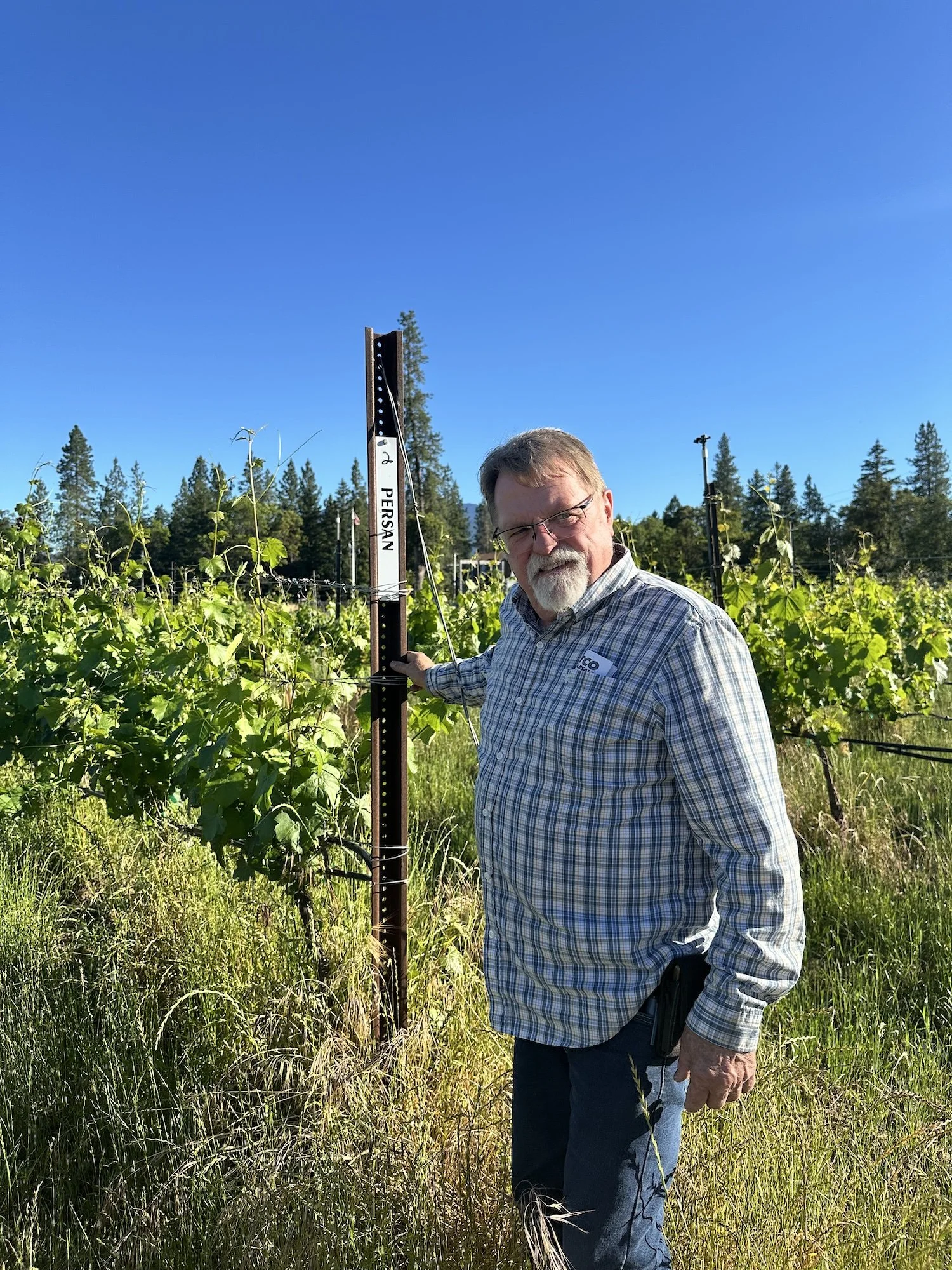 Joe Ginet amongst Plaisance Ranch’s persan vines