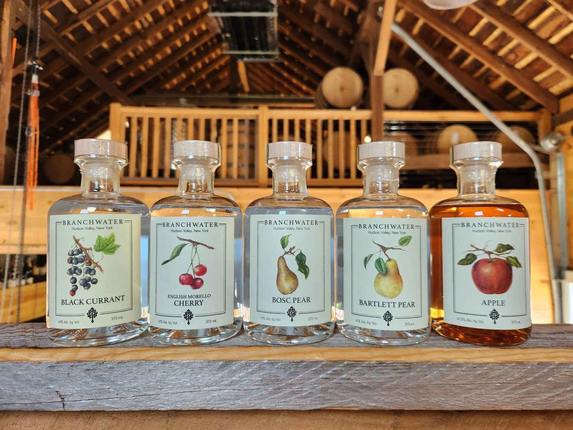 Branchwater lineup