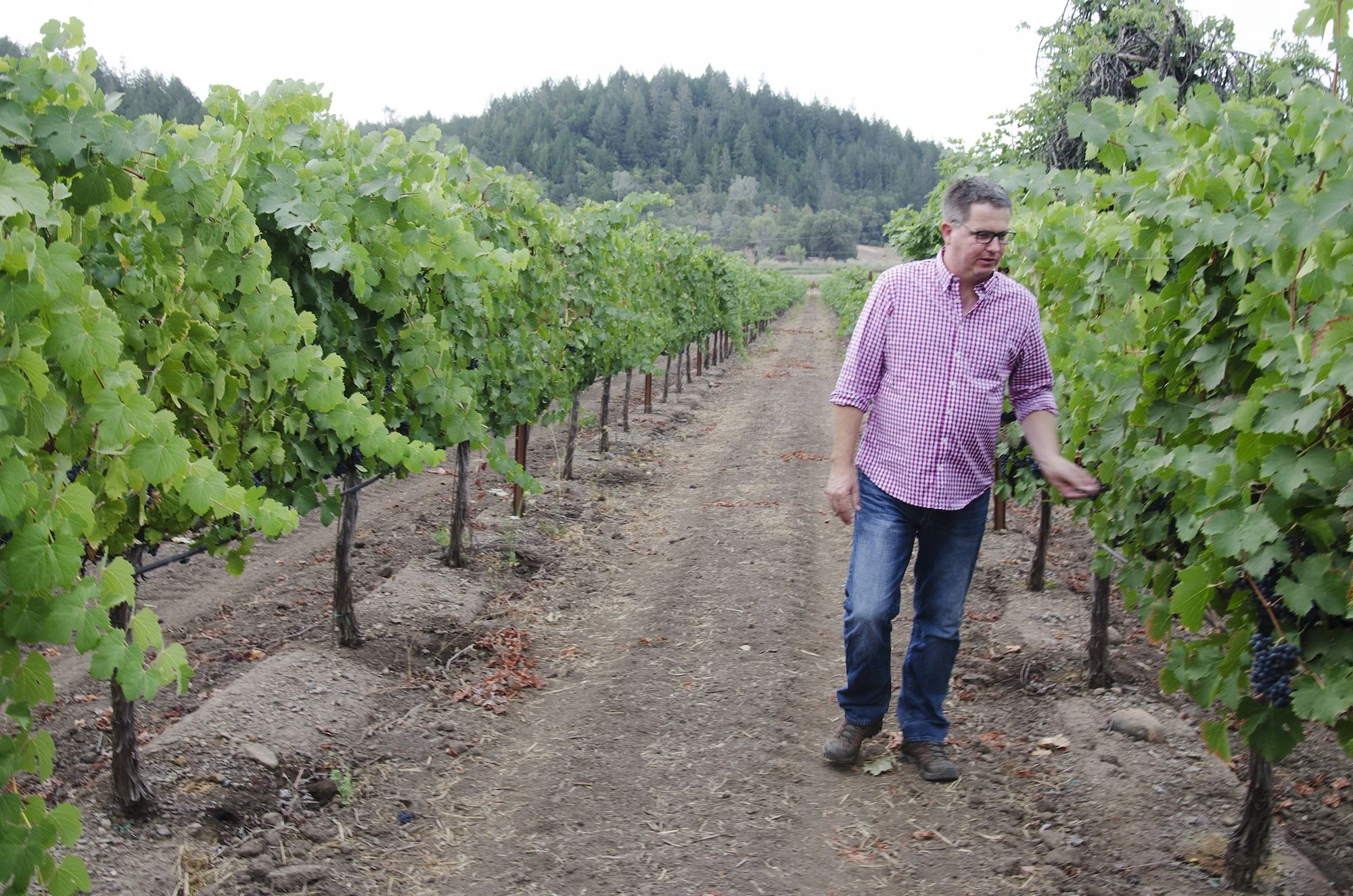 Bruce Devlin of Ballentine Vineyards