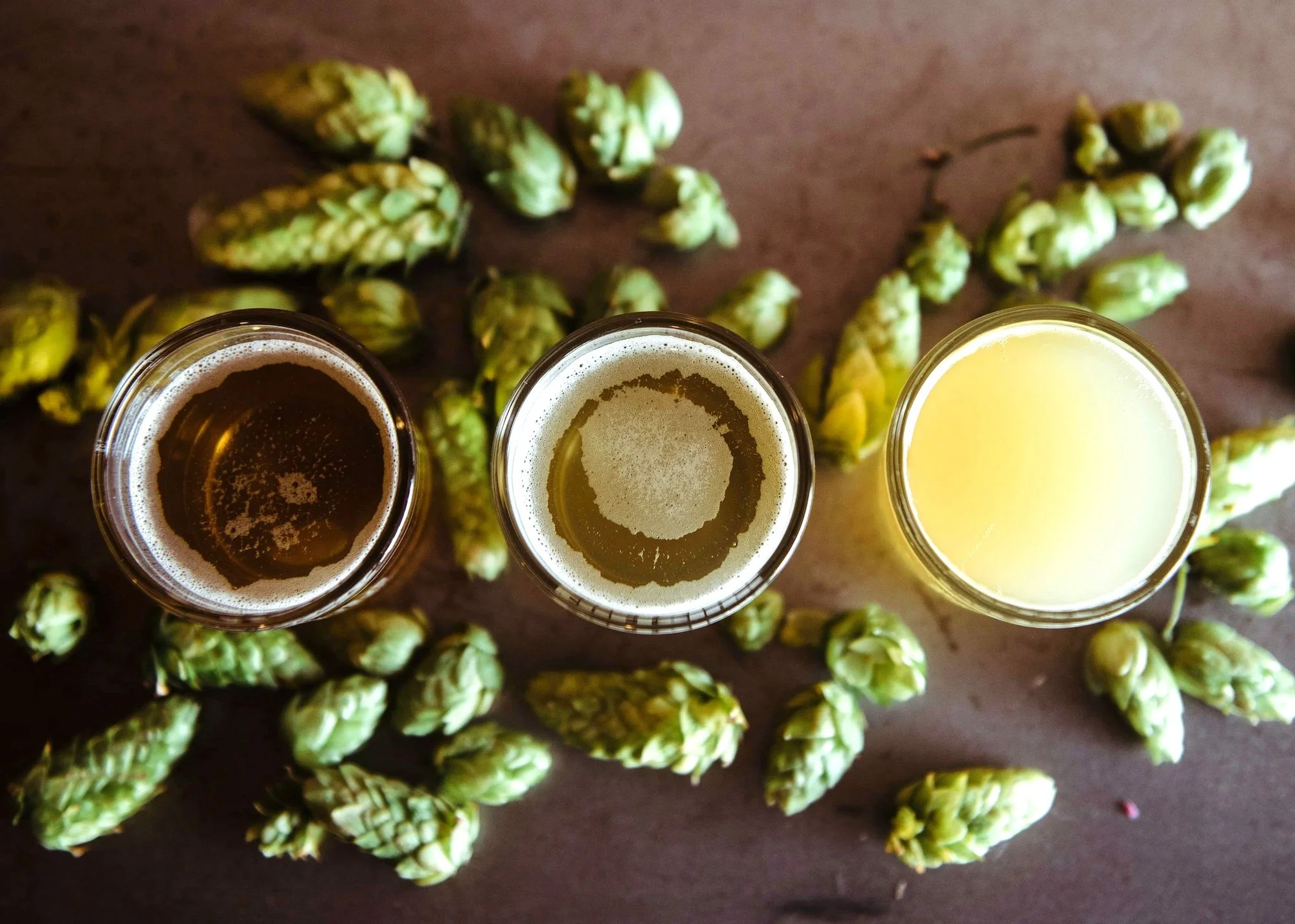 hops for craft beer