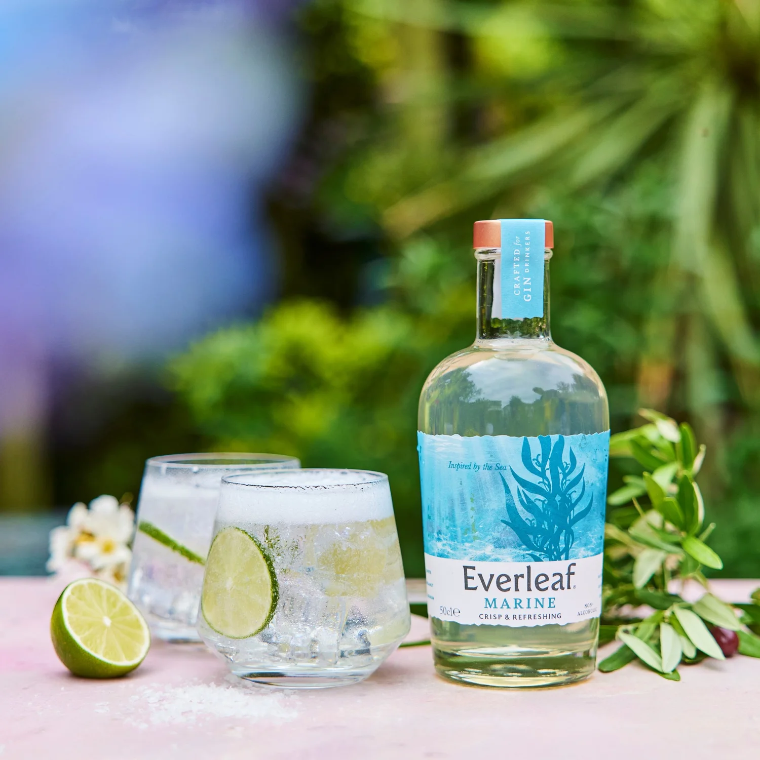 Everleaf: A Sustainable Approach to Zero Proof Spirits | Alcohol Professor