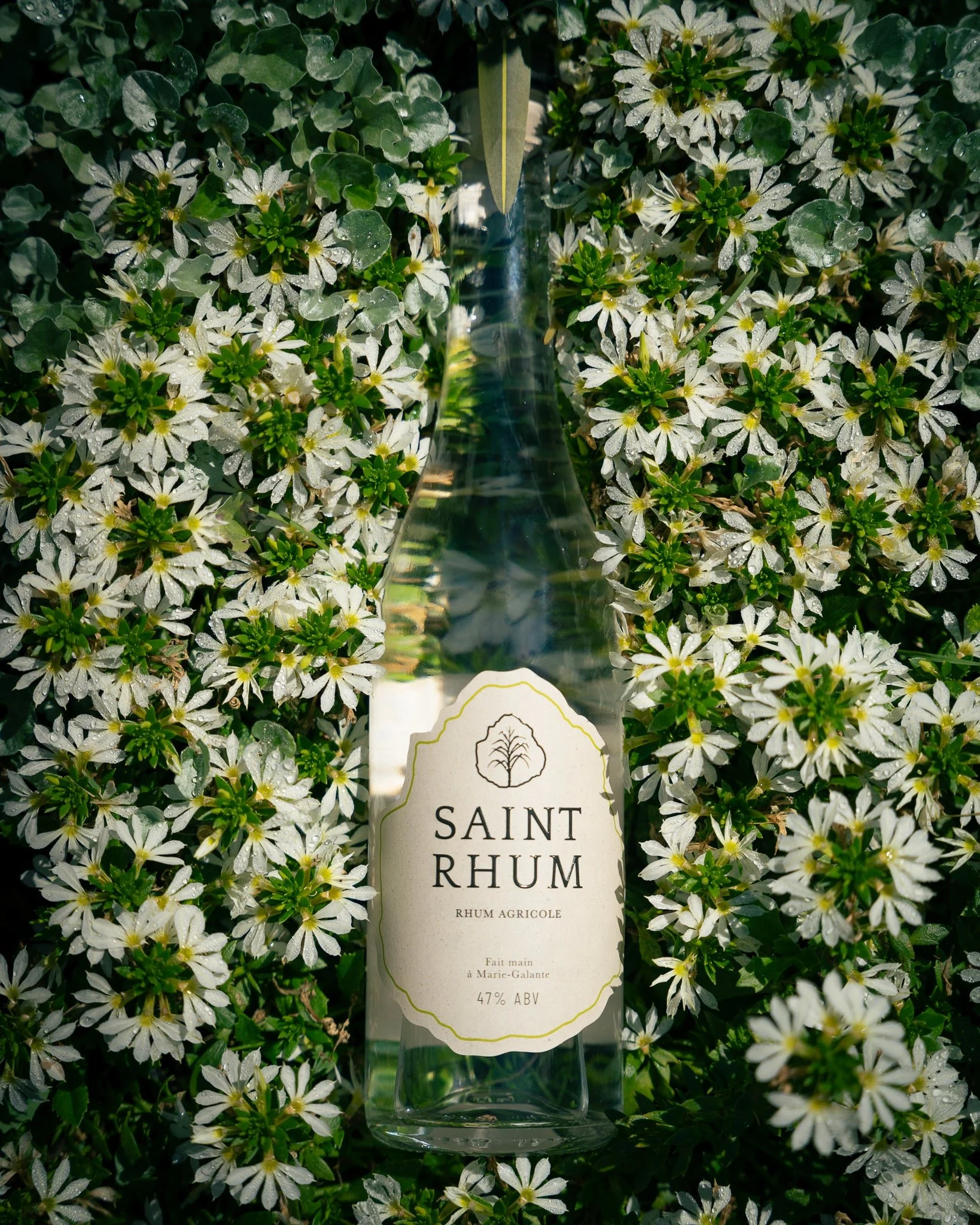 Saint Rhum