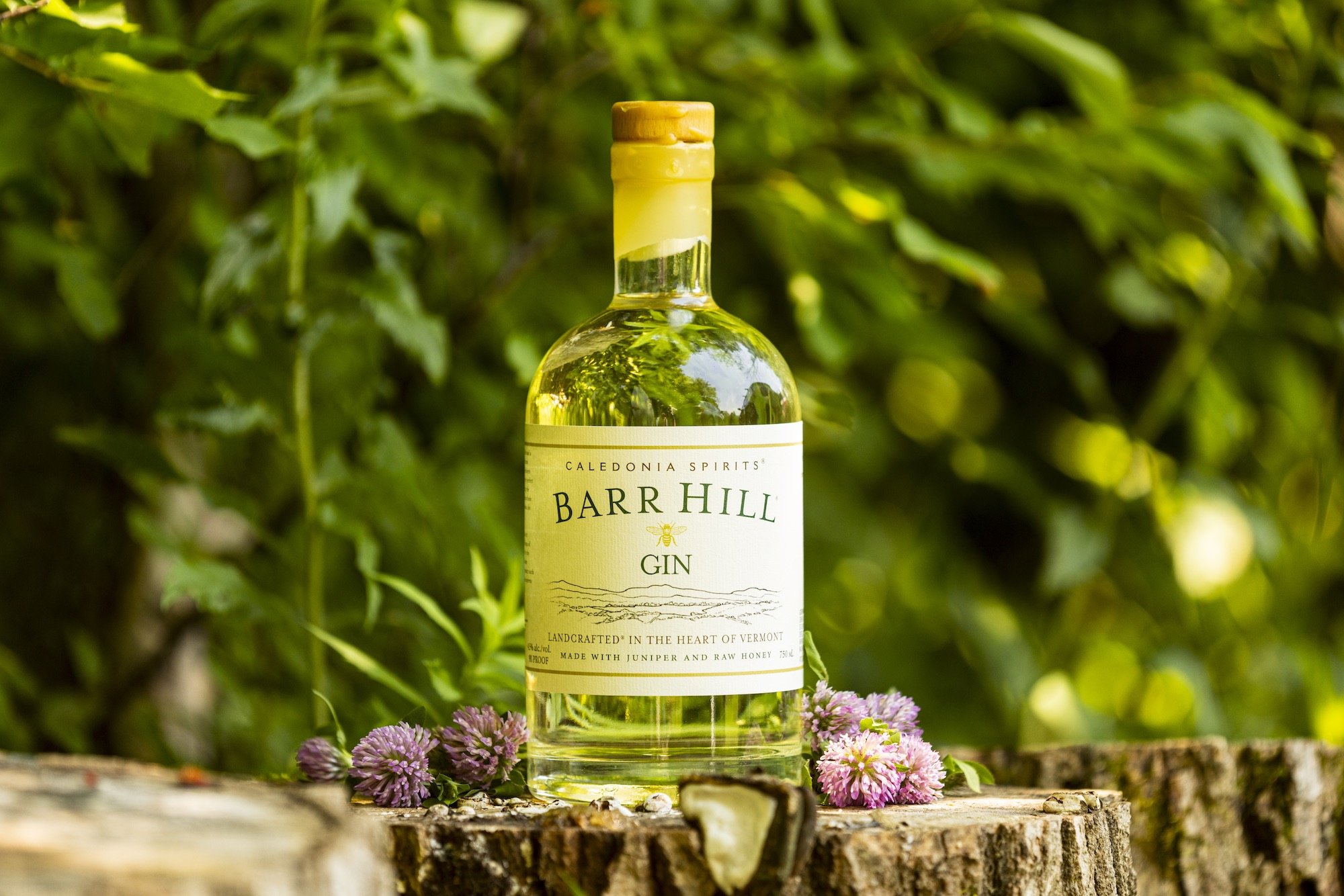 Barr Hill Gin