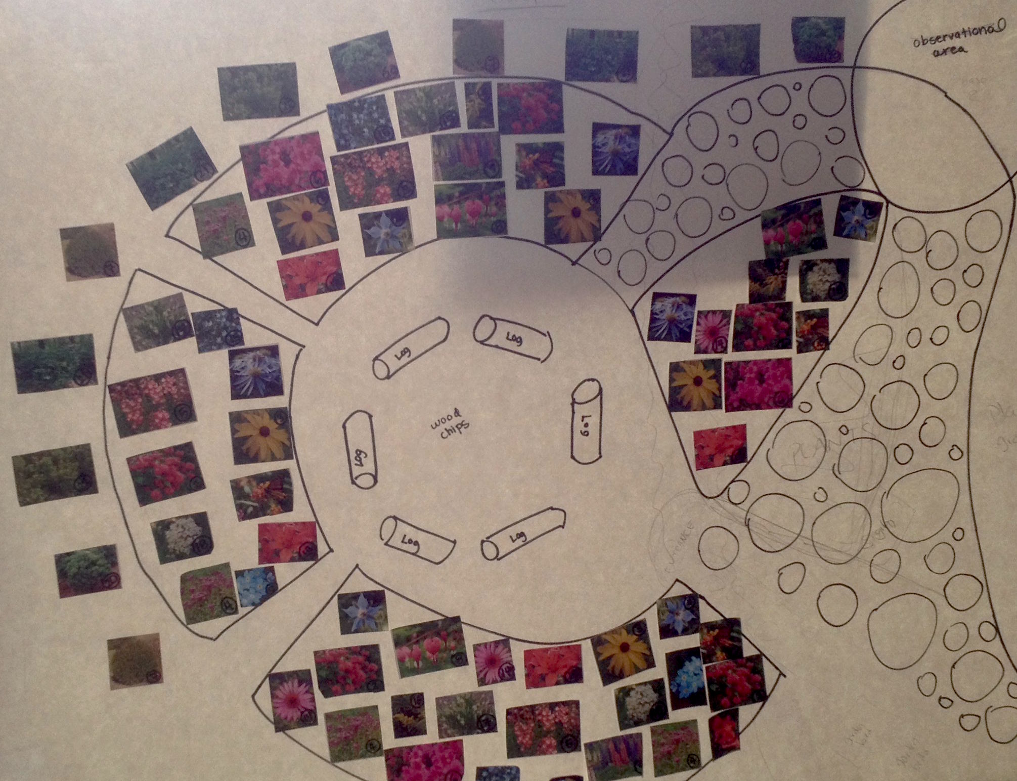 Conte West Hills Schoolyard Habitat Layout