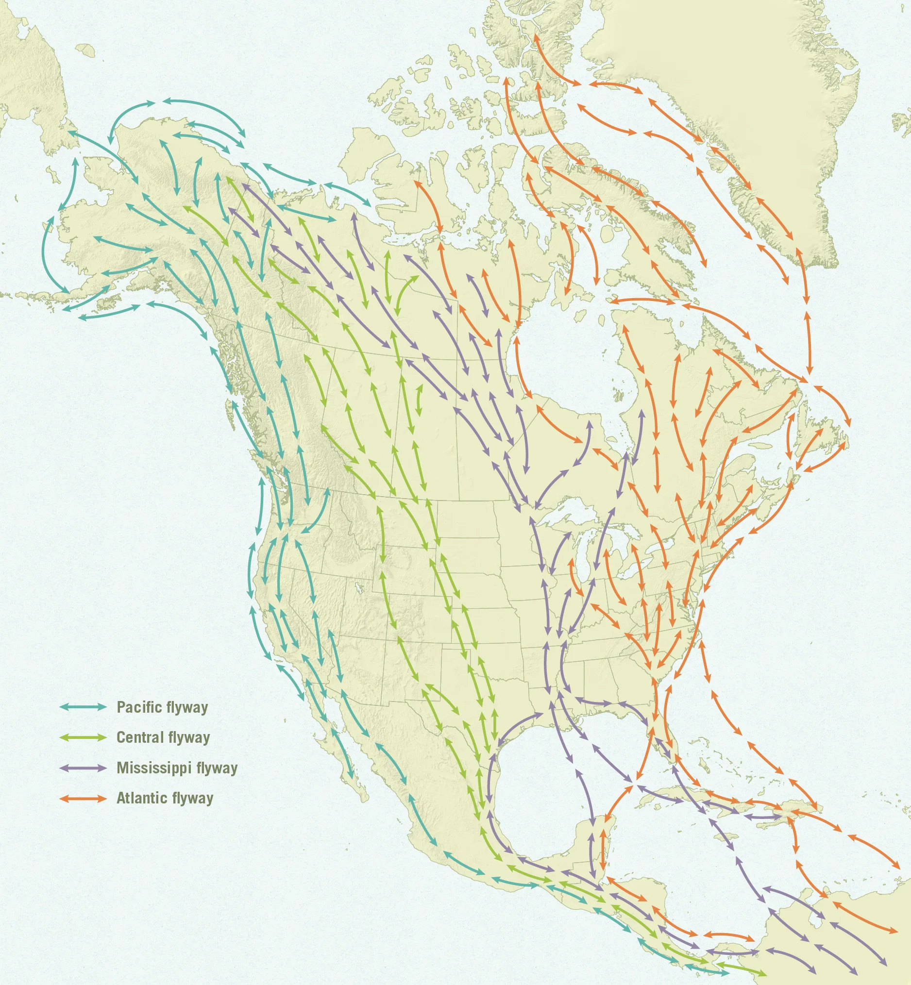 Major flyways. View more »
