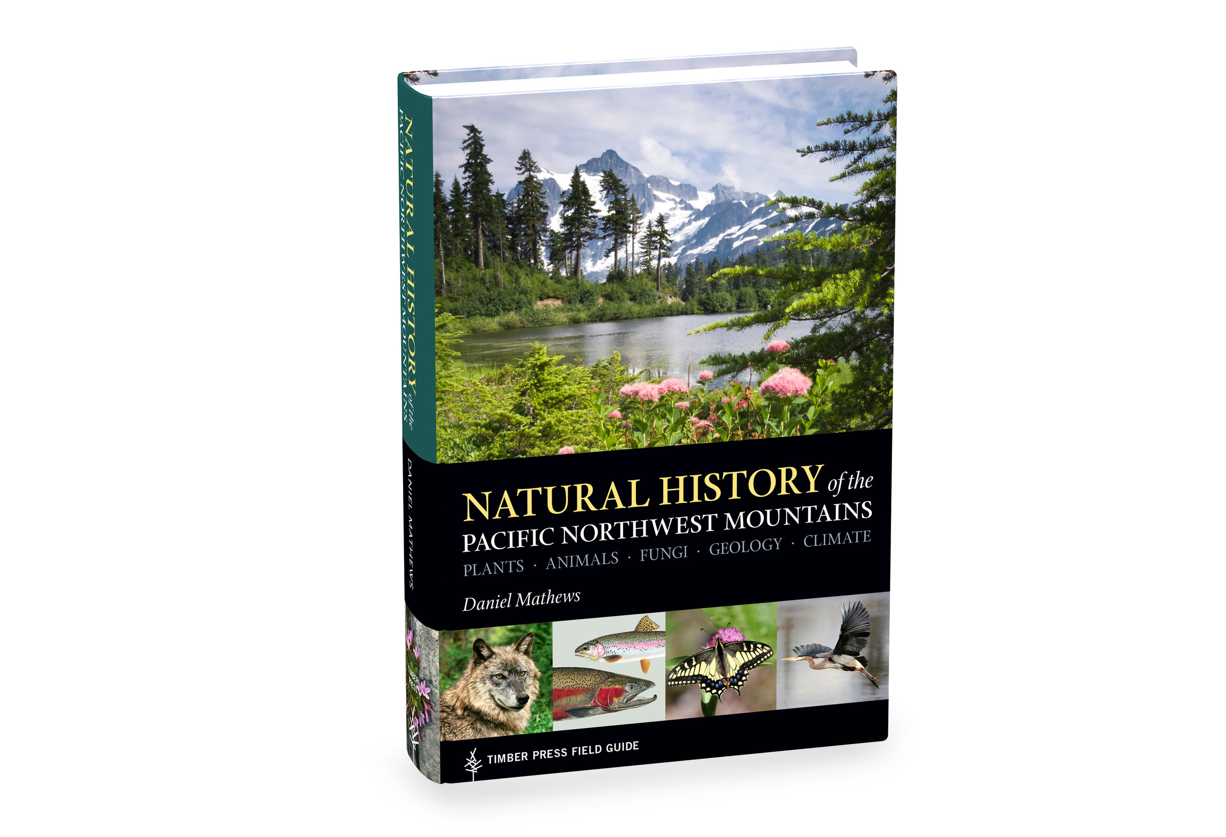 book_fieldguidenaturalhistory_cover_003.jpg