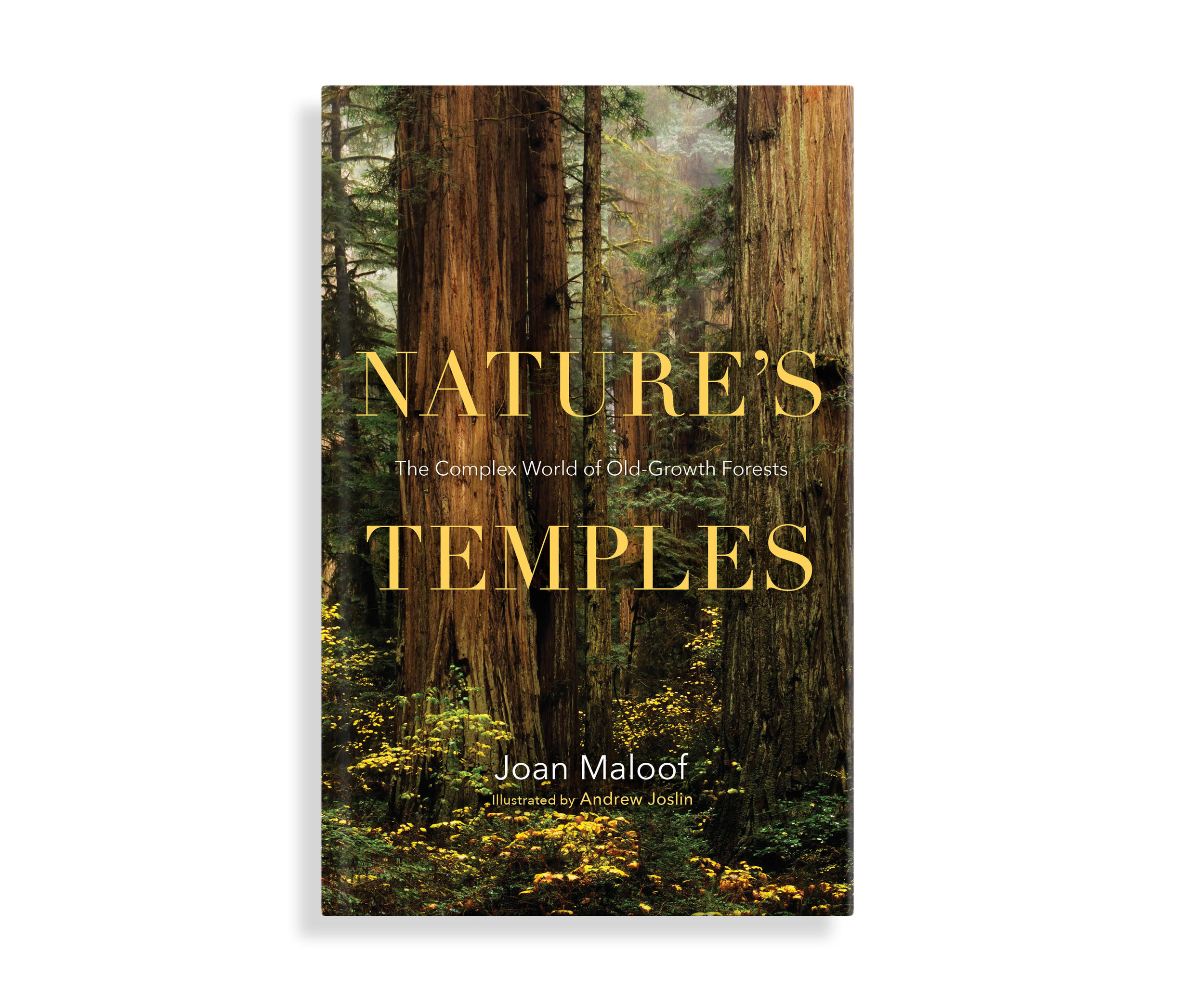 book_naturestemples_cover_001.jpg