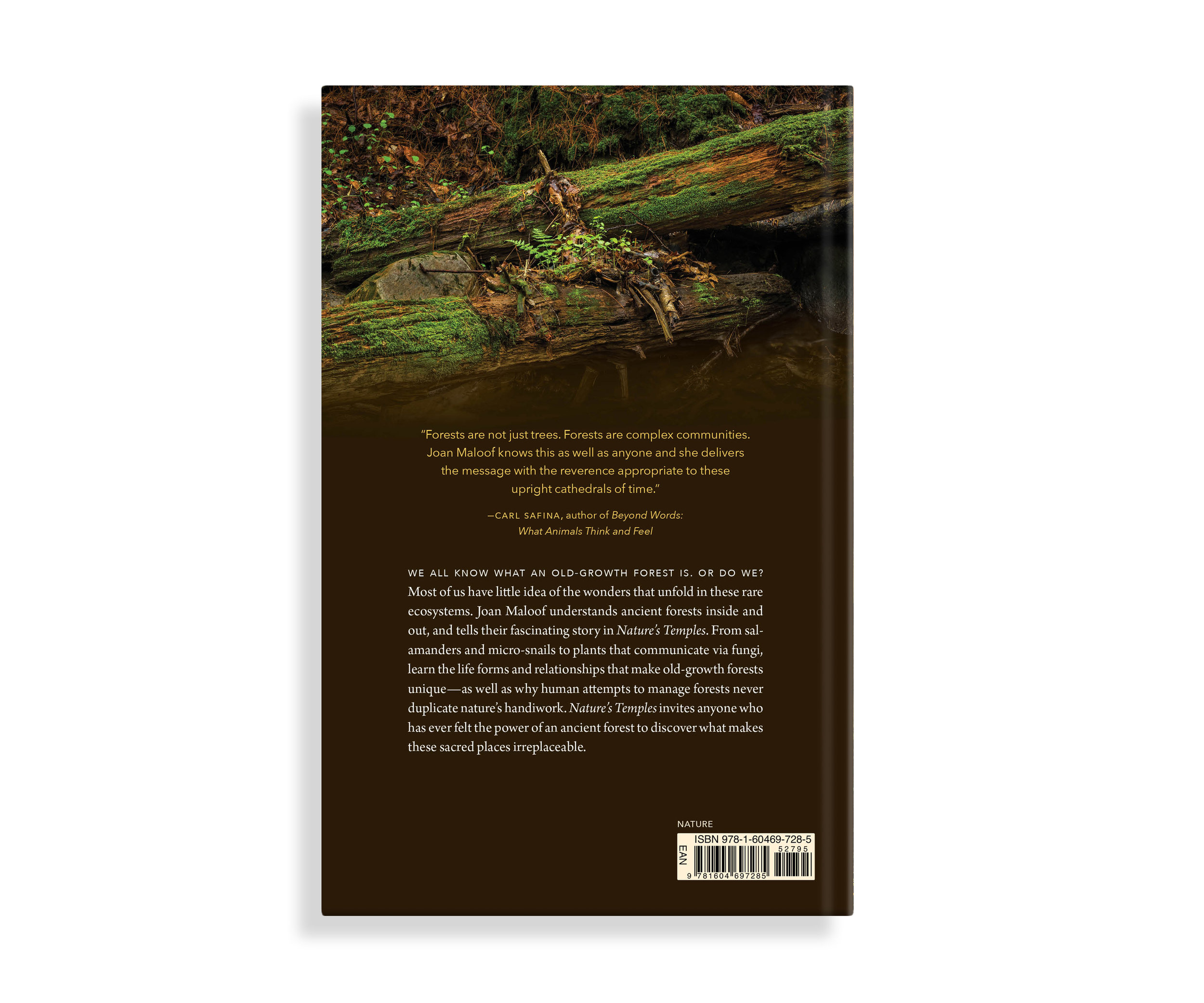book_naturestemples_cover_002.jpg