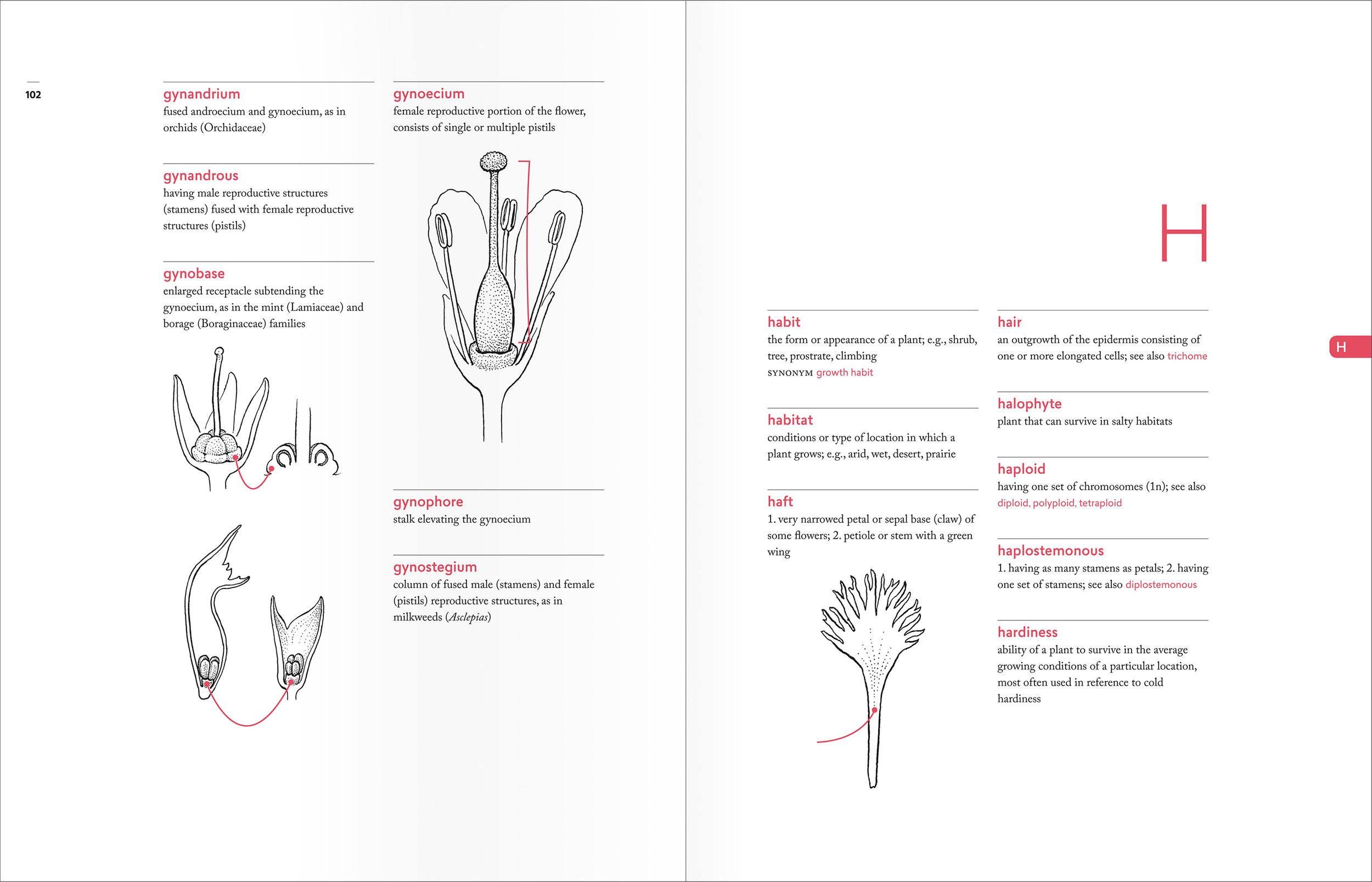 PellAngell_BotanistsVocab_finalpages_spreads_H.jpg