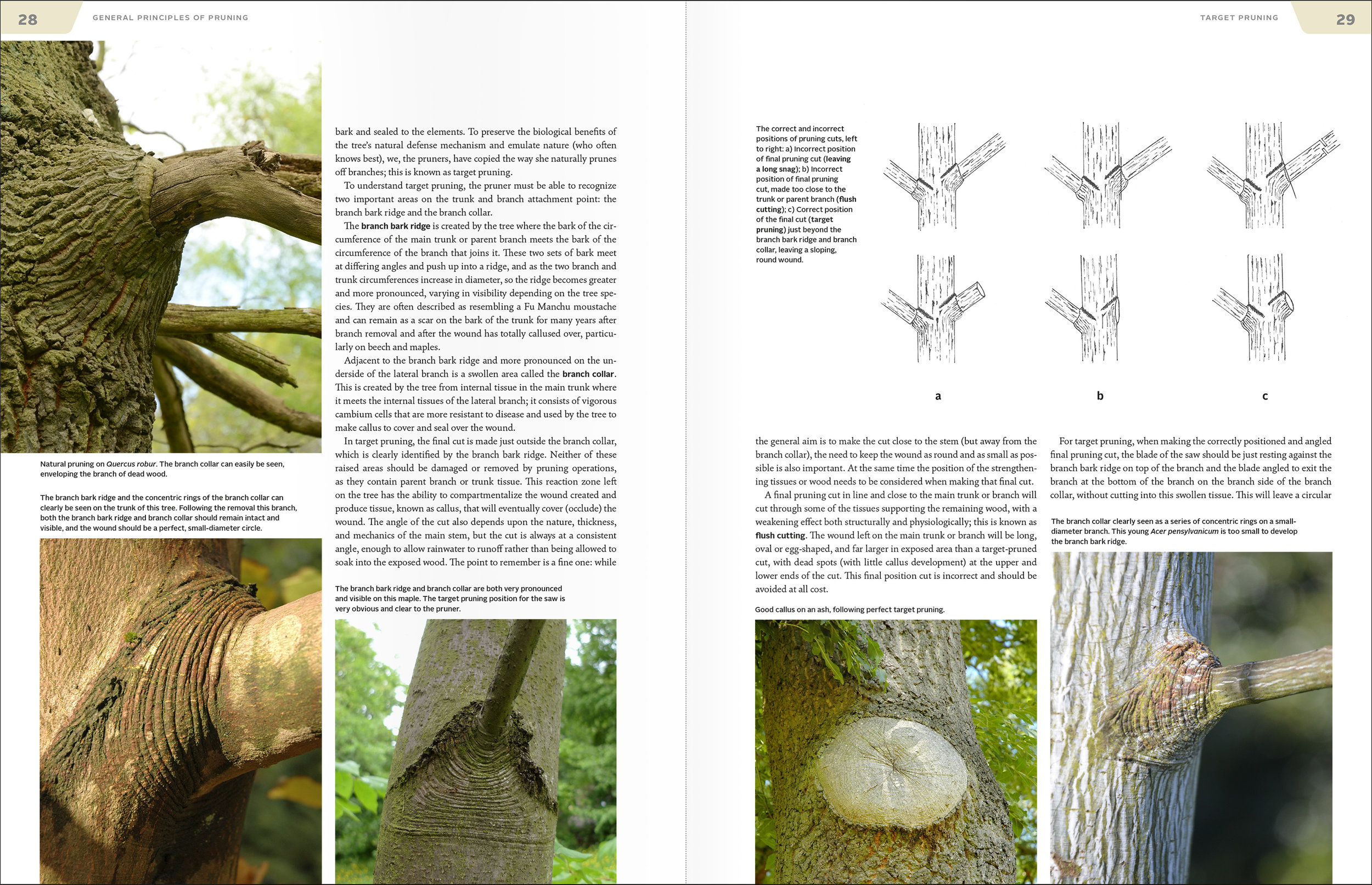 Kirkham_spreads_02.jpg