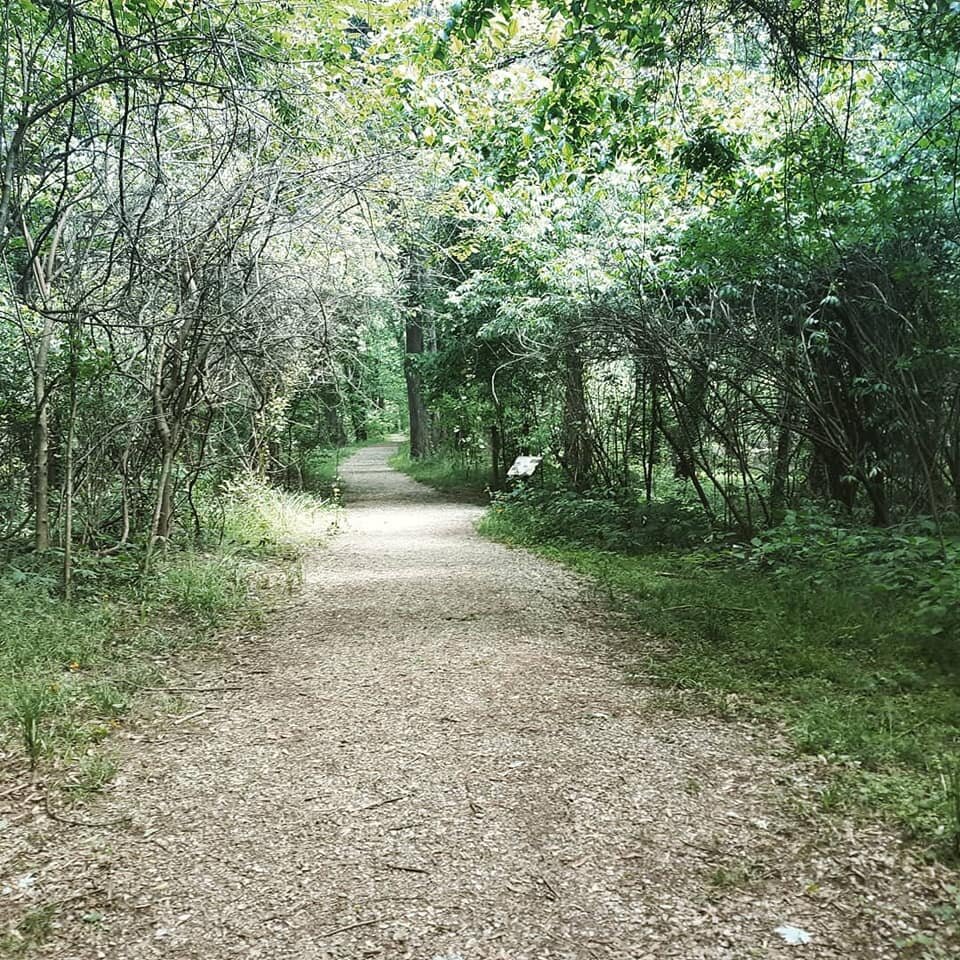 Eagle Slough Trails