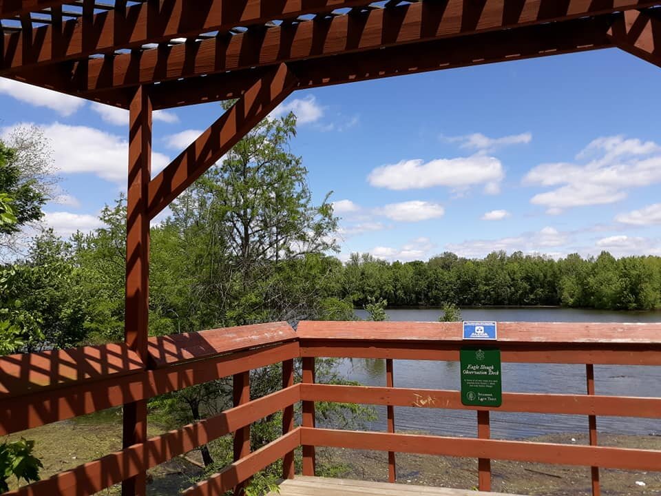 Eagle Slough Trails Lookout