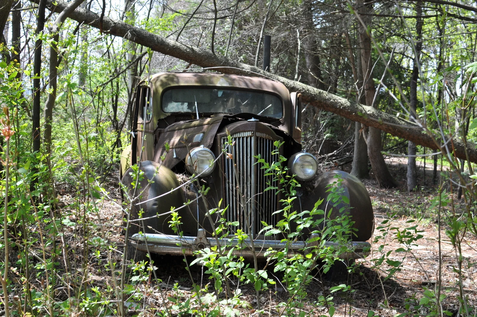 BurlingtonVT0364.jpg