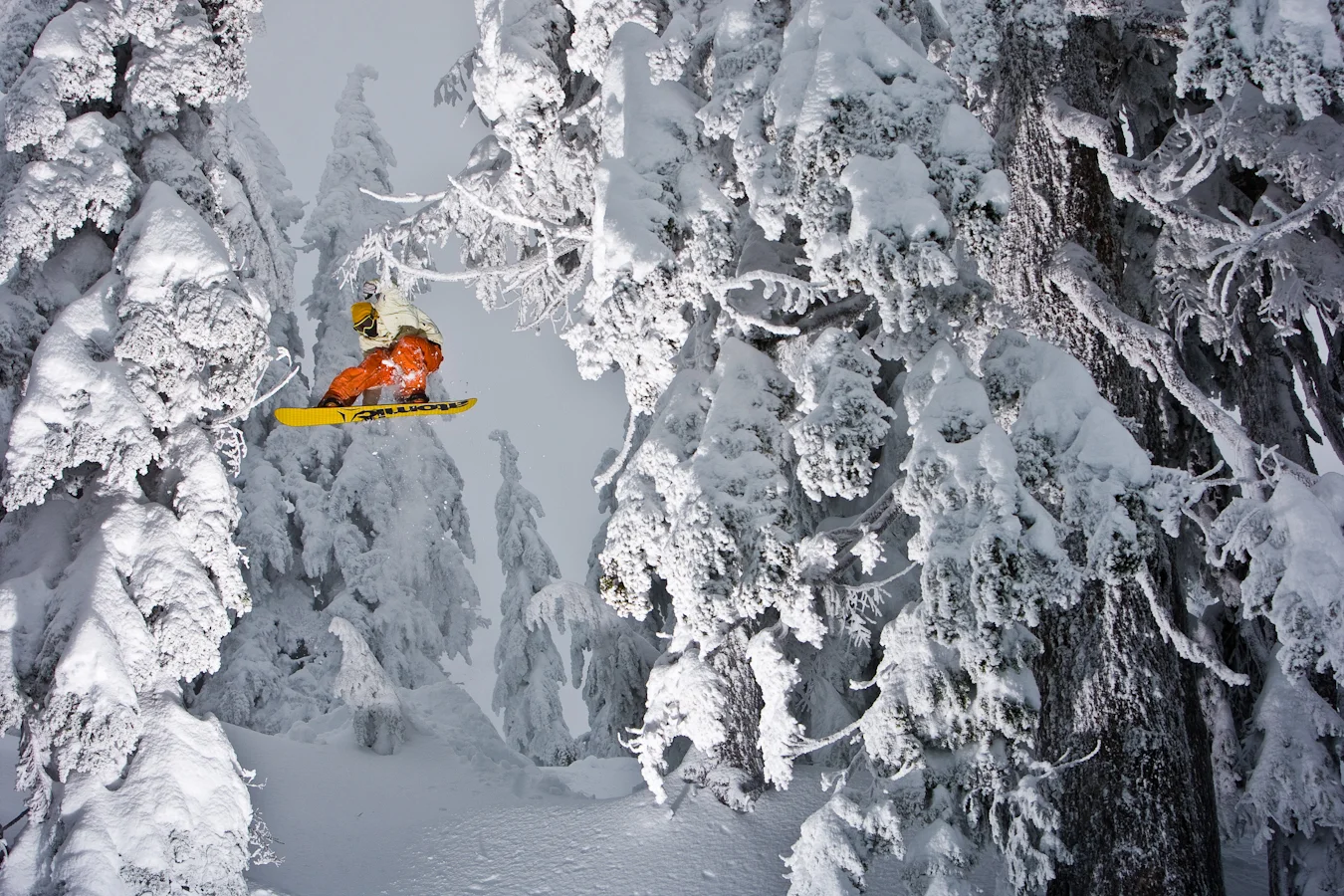 20080109_andruik_nathan_ramier.jpg