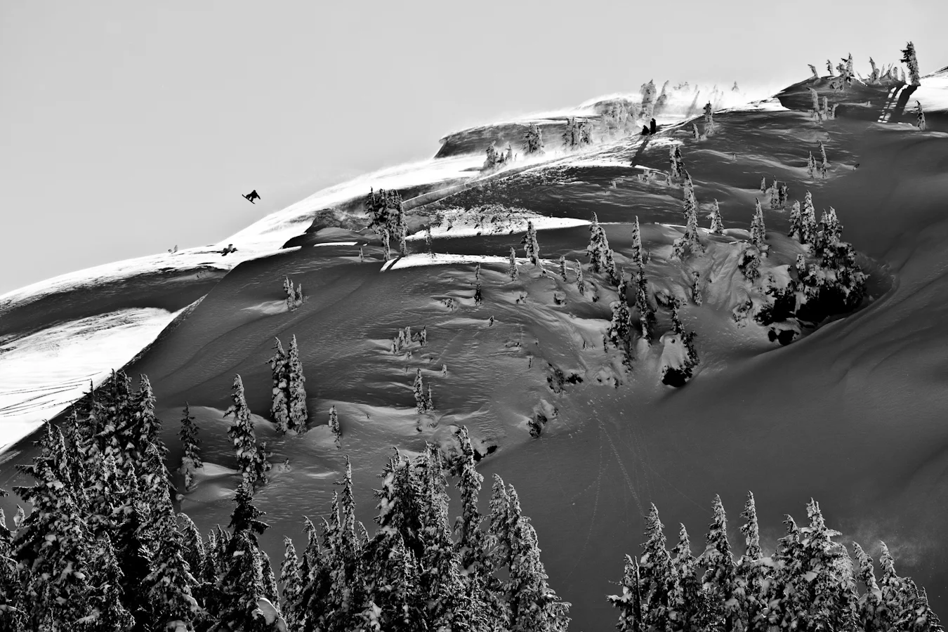 20090325_unknown_andruik-69.jpg