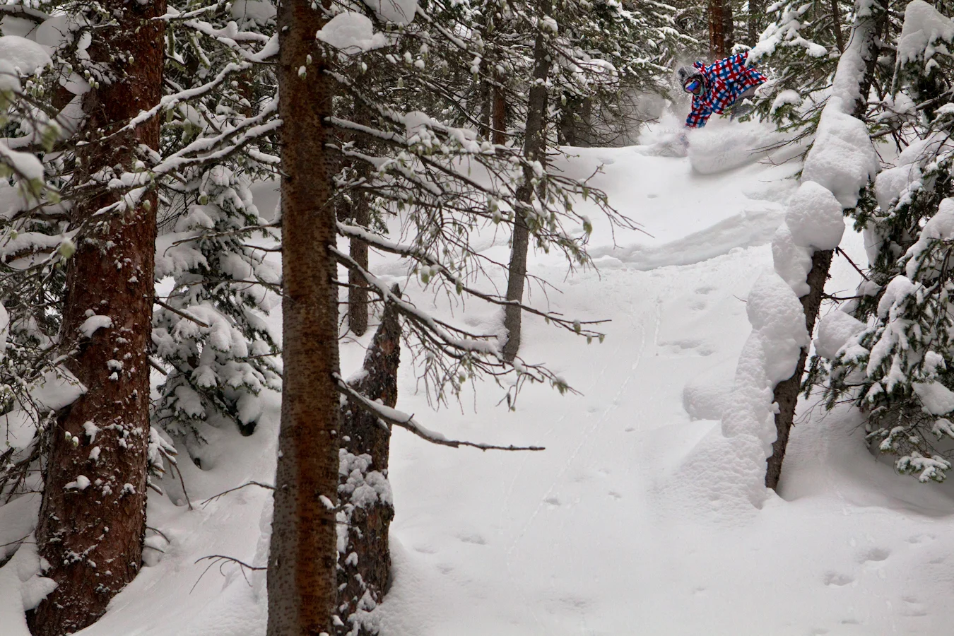 shayne_colorado_andruik-181-1.jpg