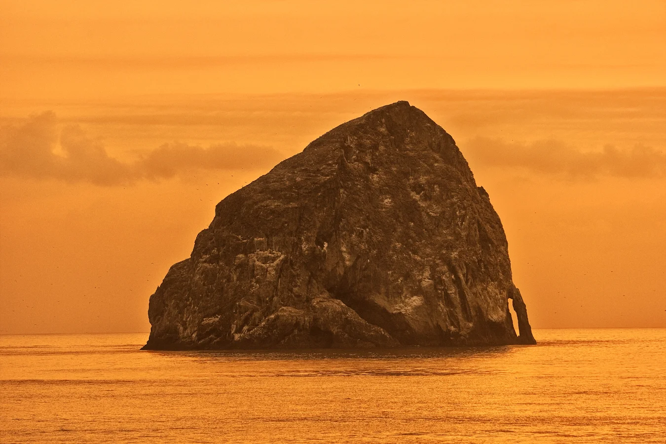 1P3K1293-Edit-Edit.jpg