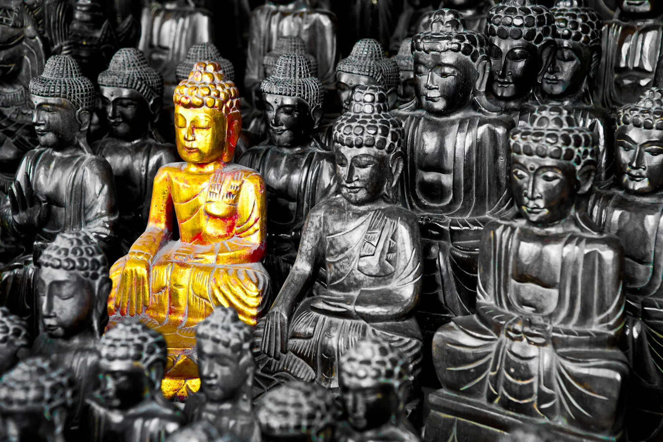 2008_bali_-781.jpg
