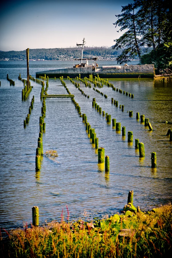 2008-485-Edit.jpg