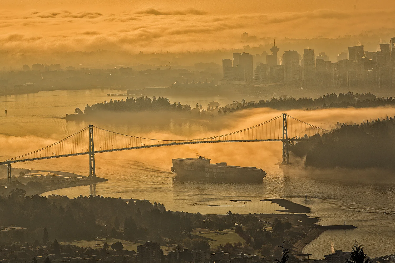 2013_10_16_fog-1-Edit-Edit-Edit.jpg