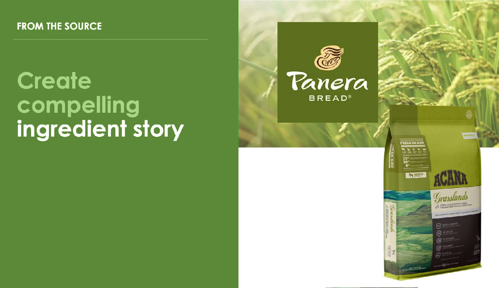Panera_Project_Dev-09.jpg