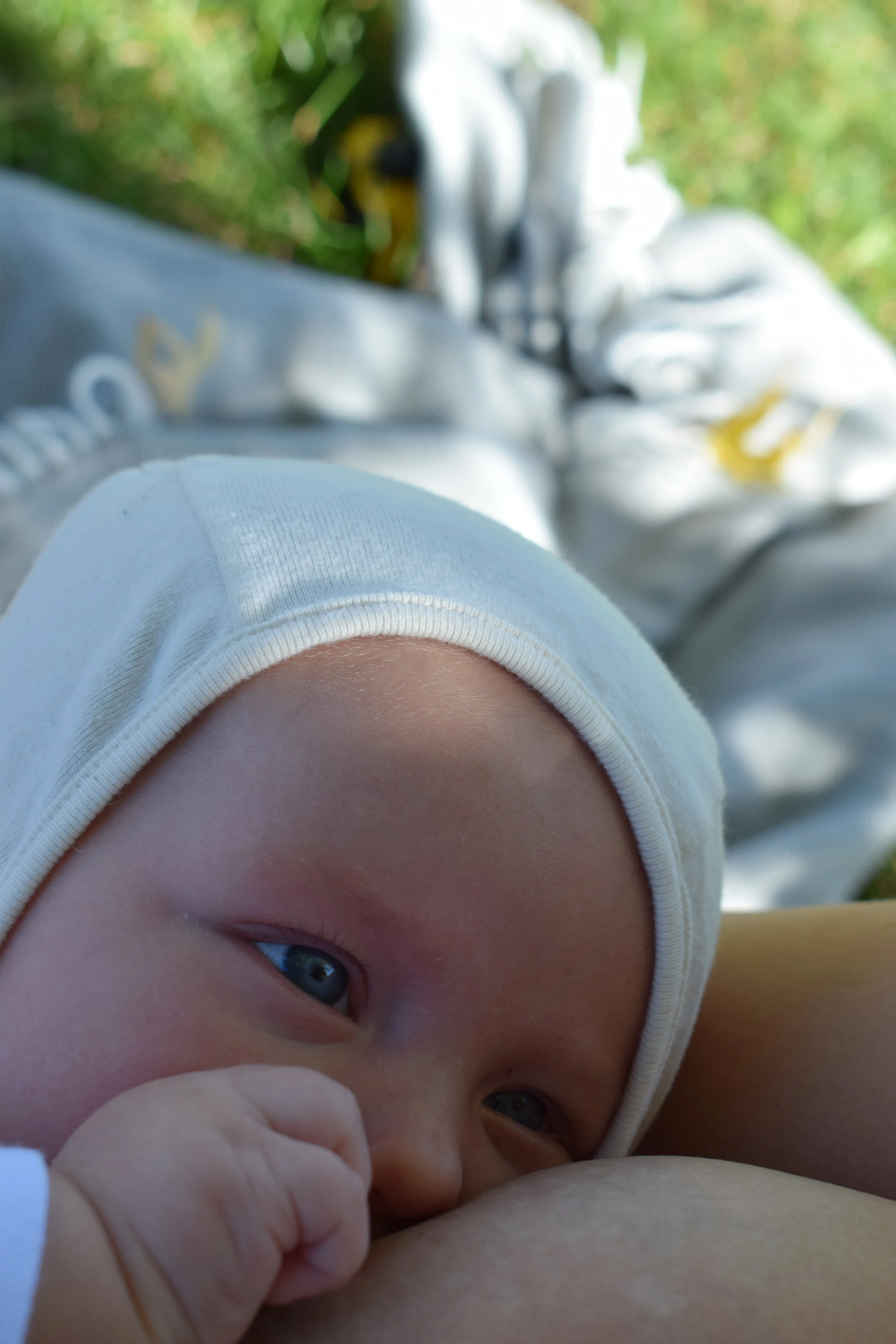 DSC_0038 3.JPG