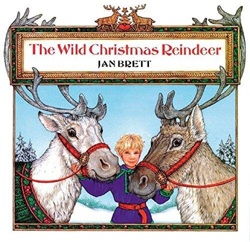 reindeer_500x484.jpg