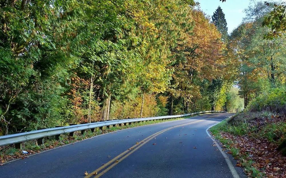 Highbridge Road in the Fall