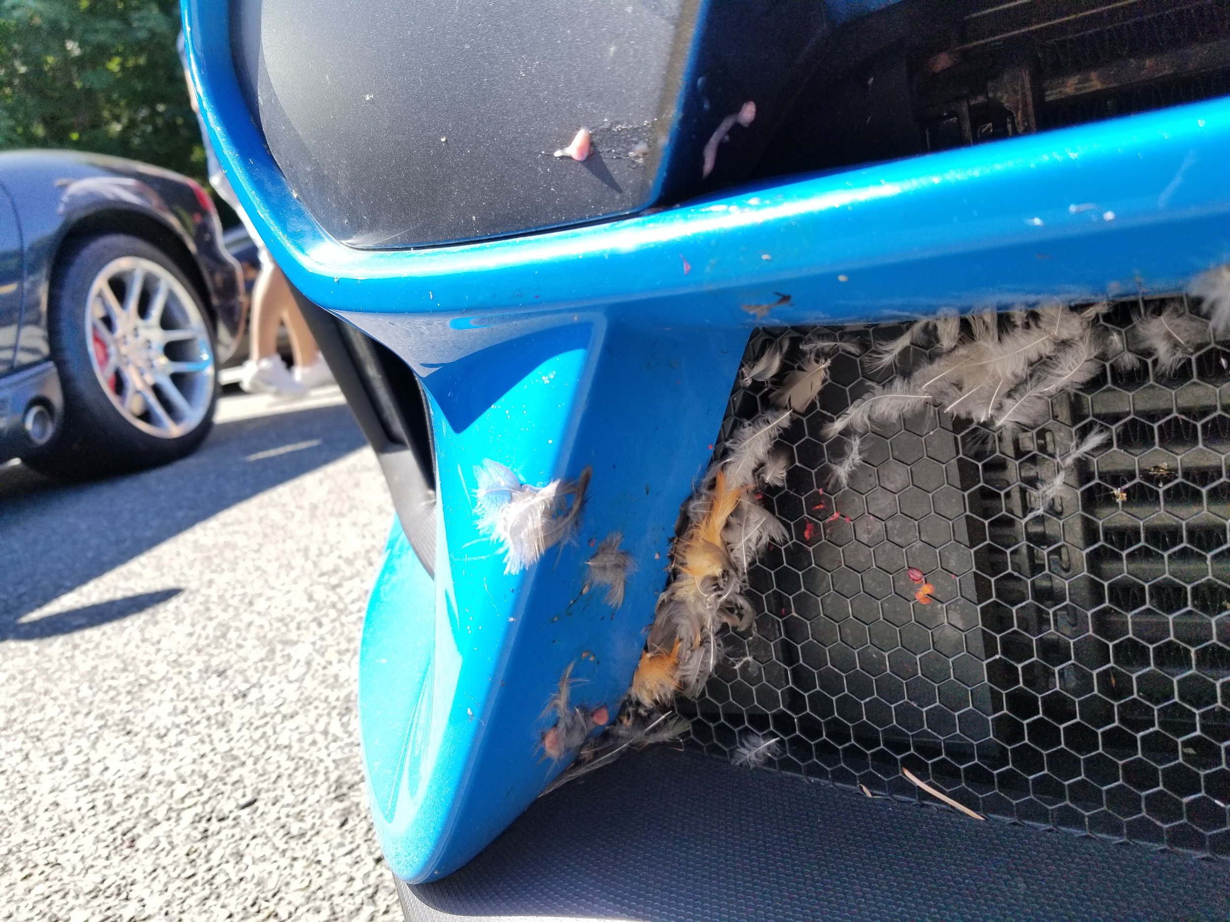 20180715_102642.jpg