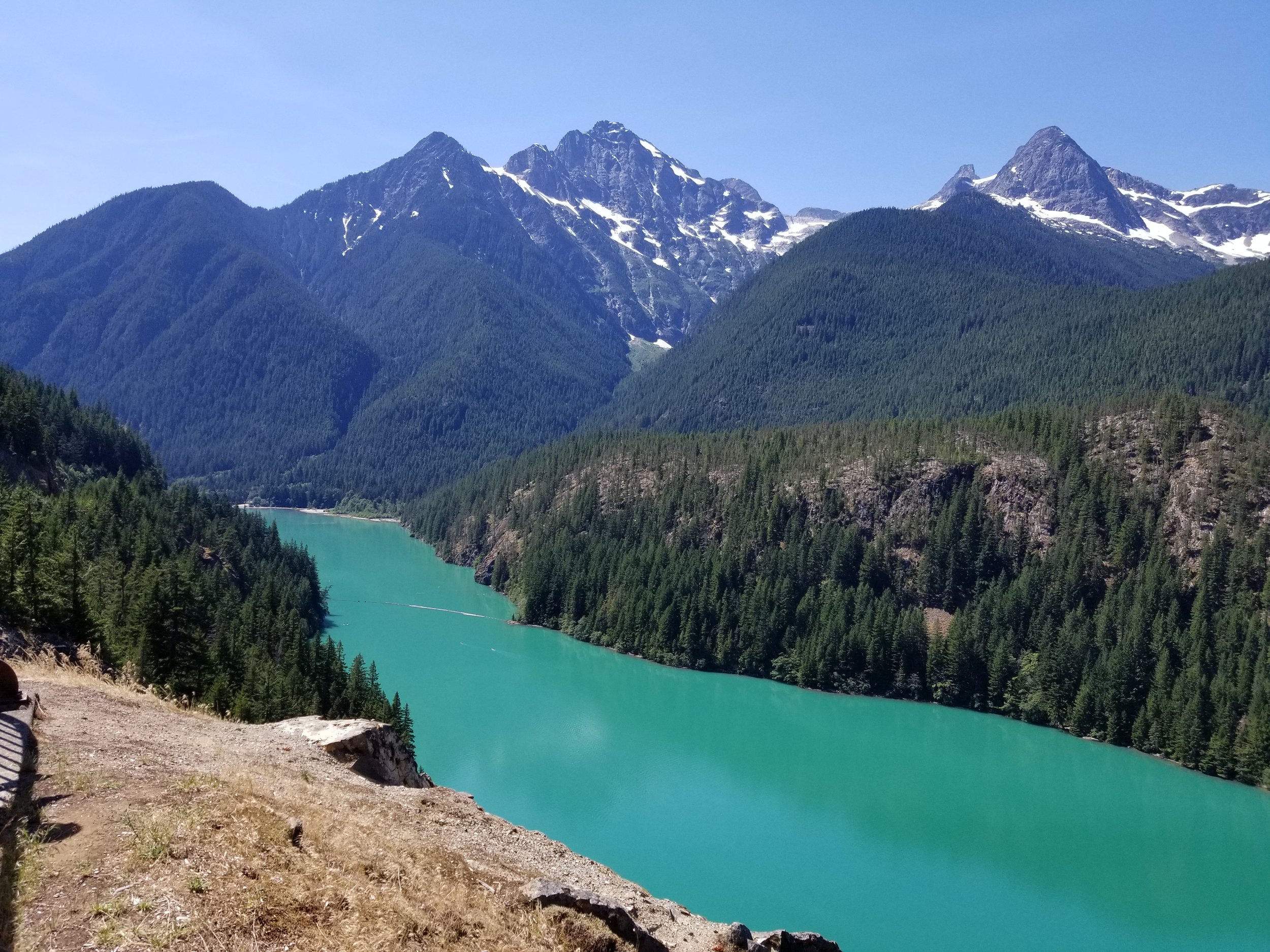 20180715_114955.jpg