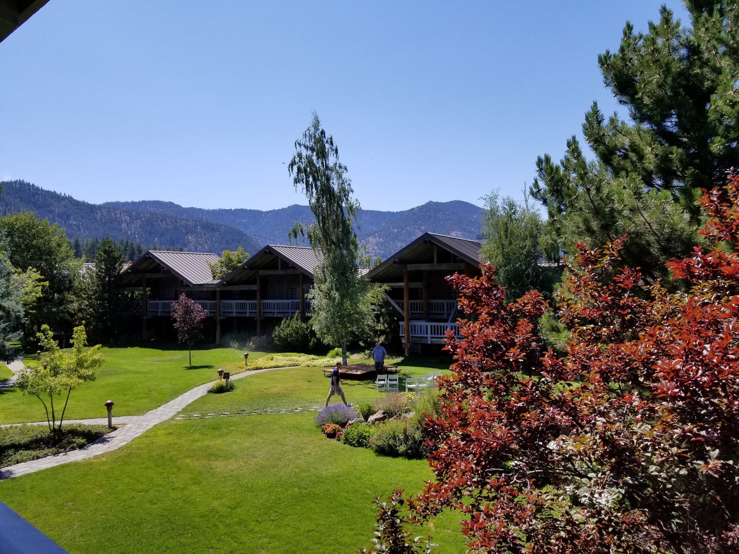 20180715_144229.jpg