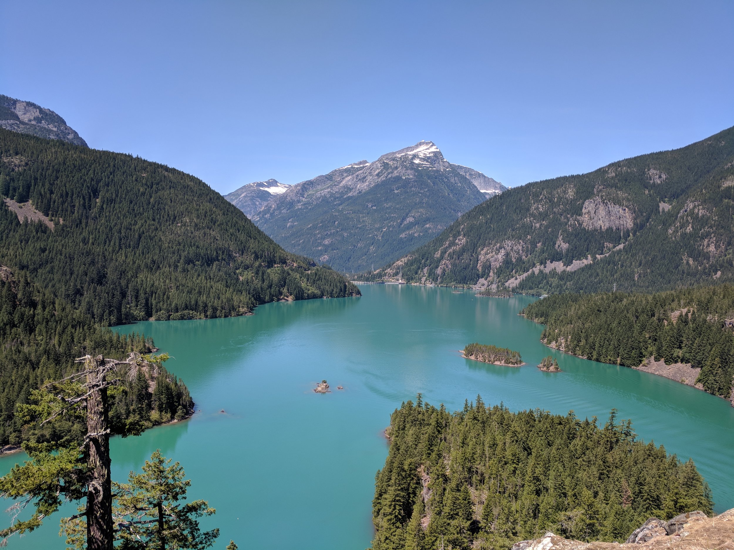 IMG_20180715_114739.jpg