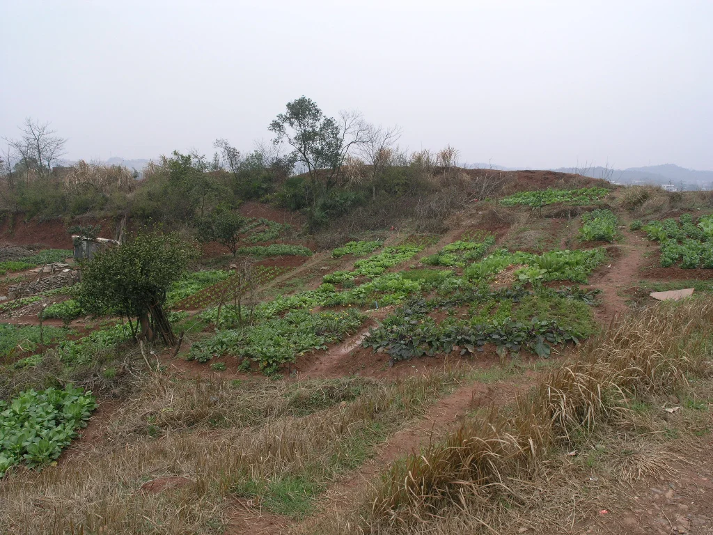 P2251334.JPG