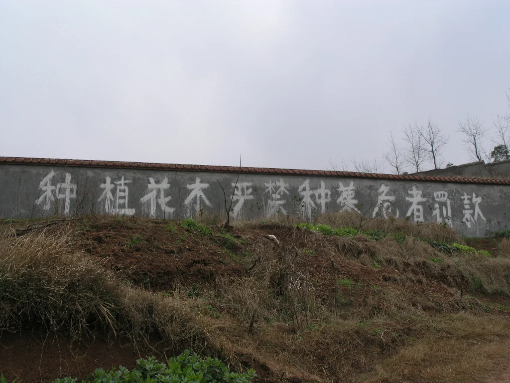P2251332.JPG