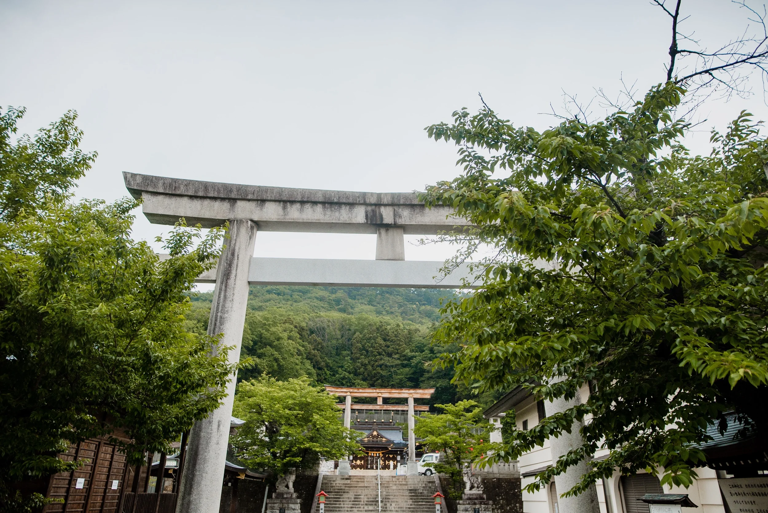 japan-02168.jpeg