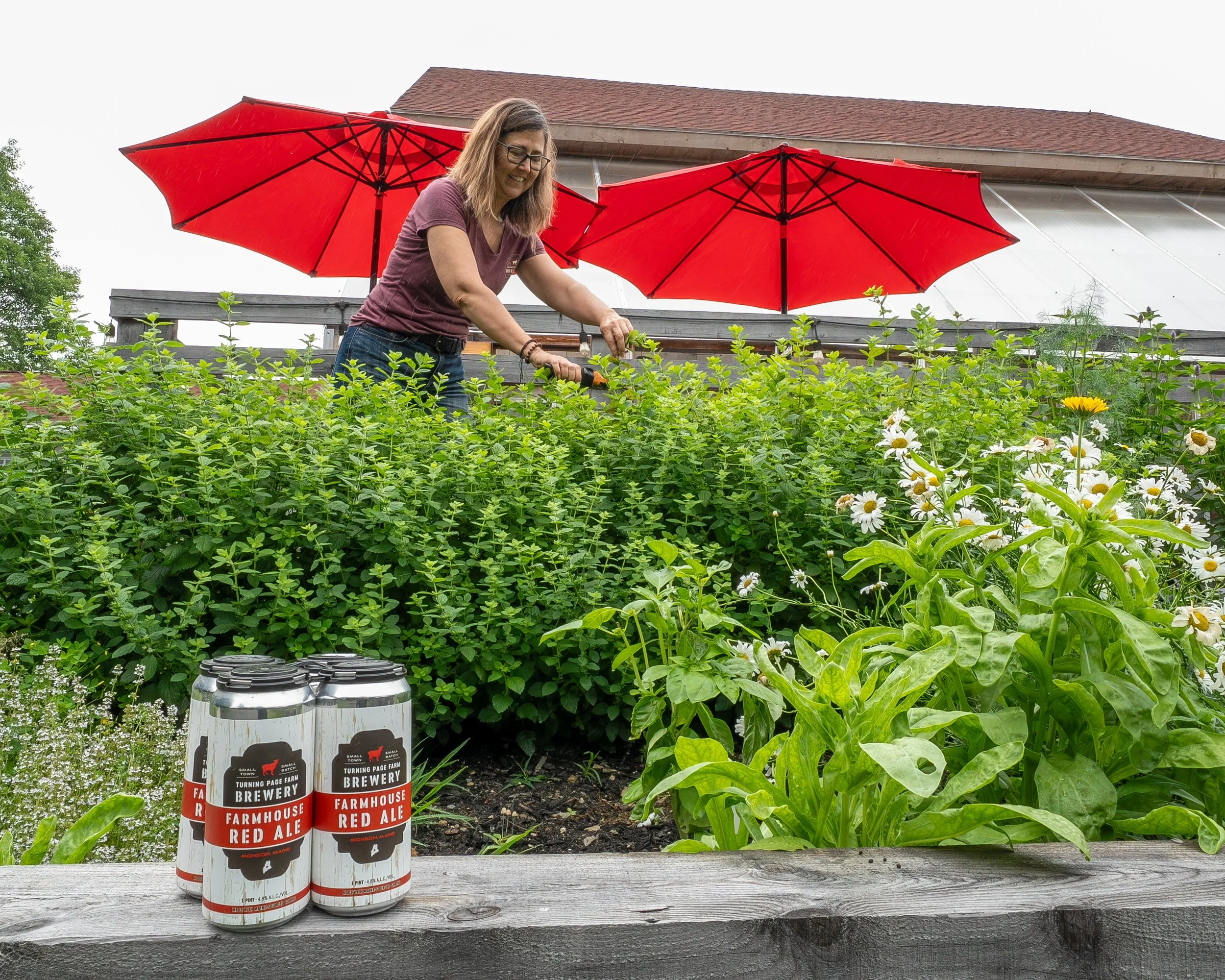 Joy in herb garden.jpg