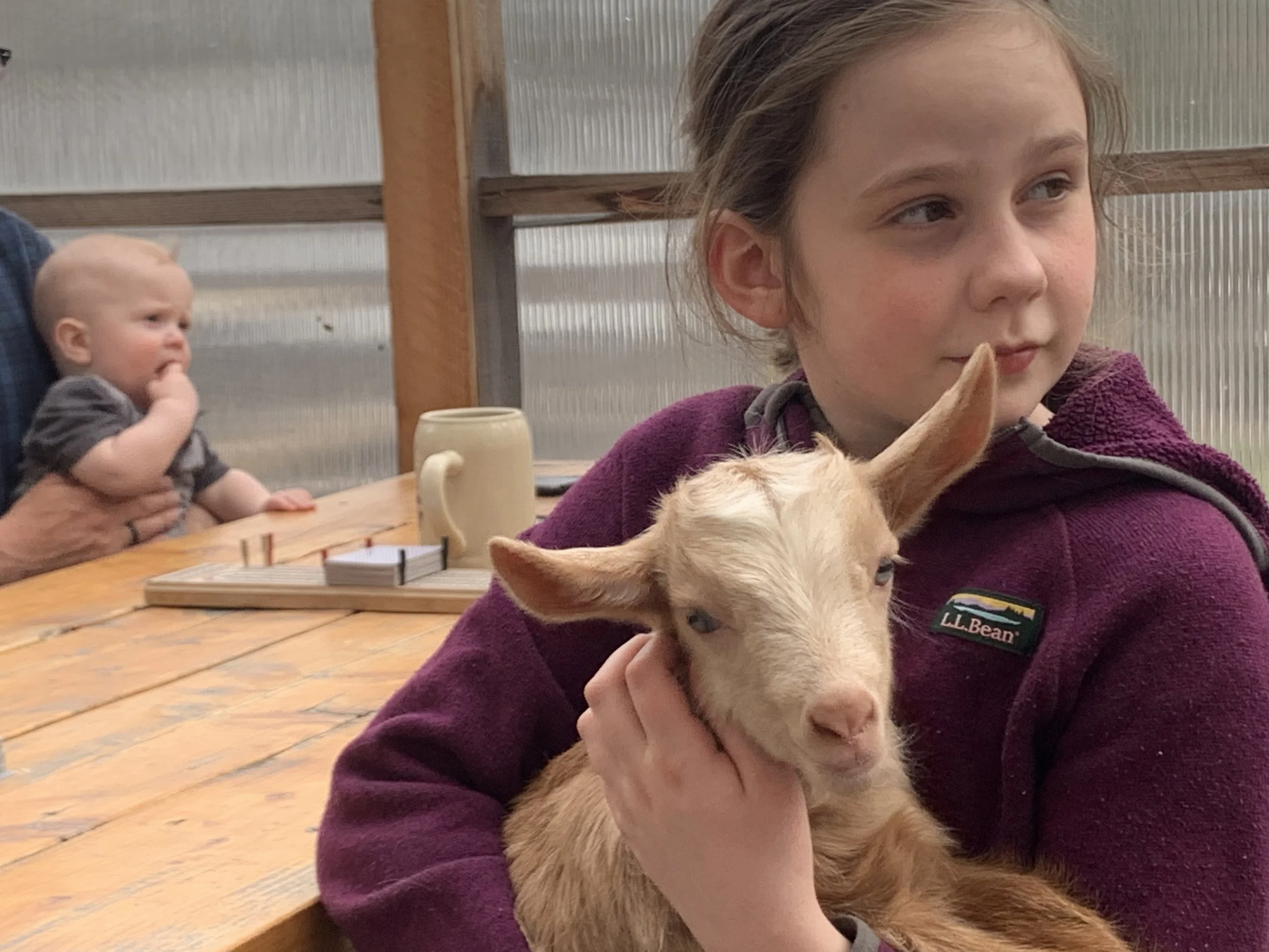 Best Family-Friendly Things to Do Near Greenville, Maine
