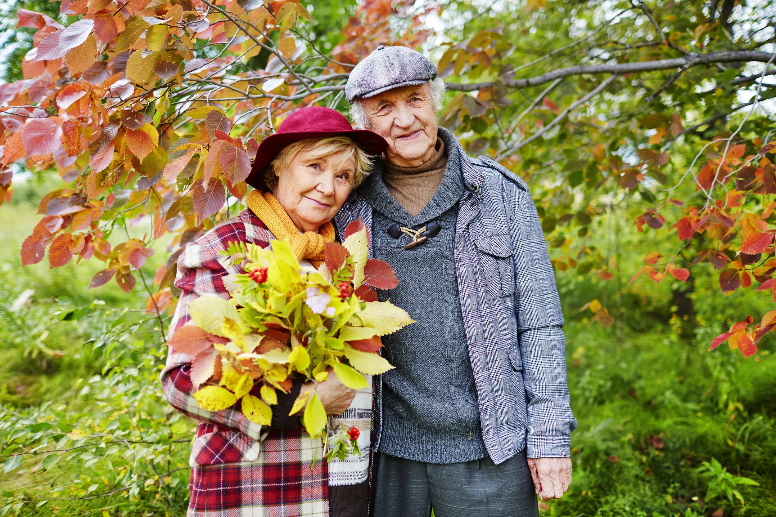 graphicstock-happy-senior-couple-under-branch-looking-at-camera_r7FLKLMVZ.jpg