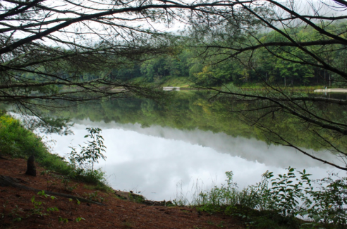 Foggy lake at Frost Valley.