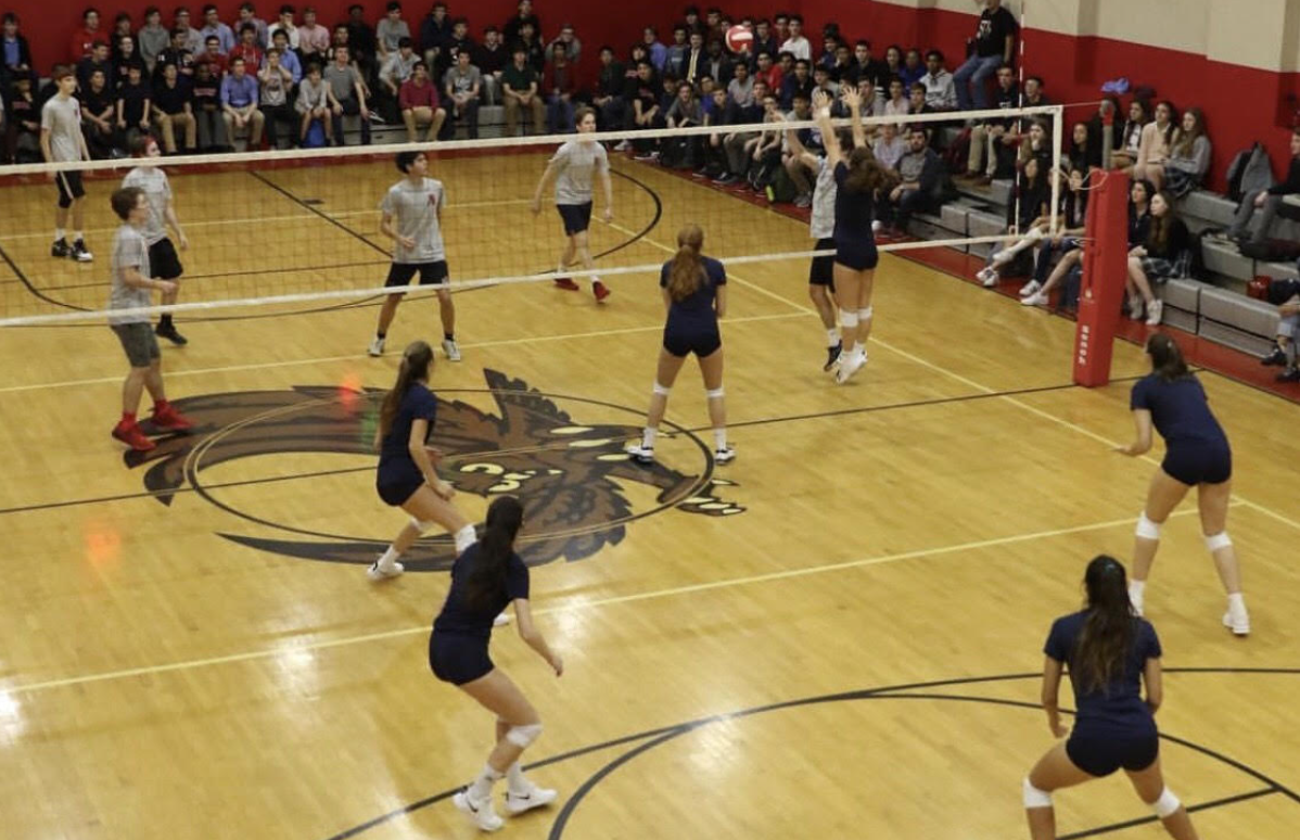 image credit: @mmtvvb