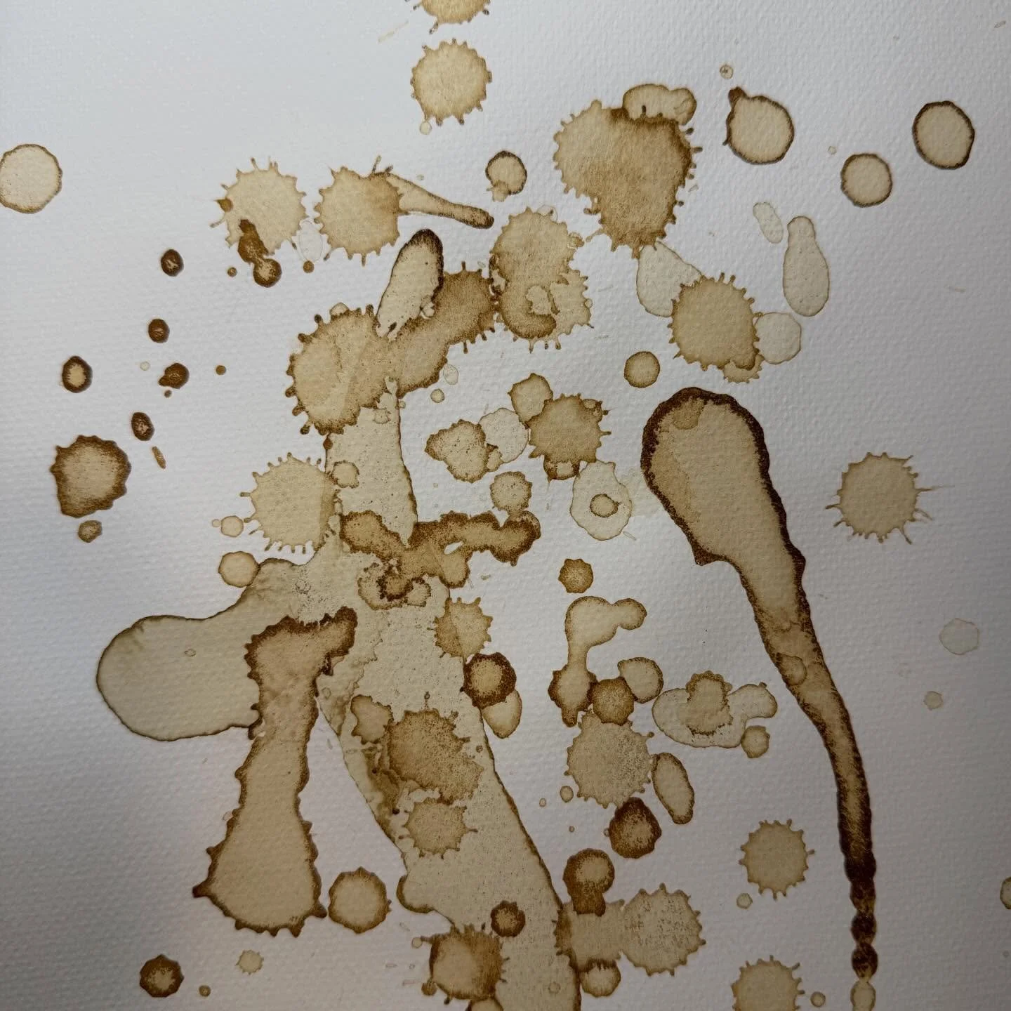 Work in progress. Mushroom coffee grounds on watercolor paper.