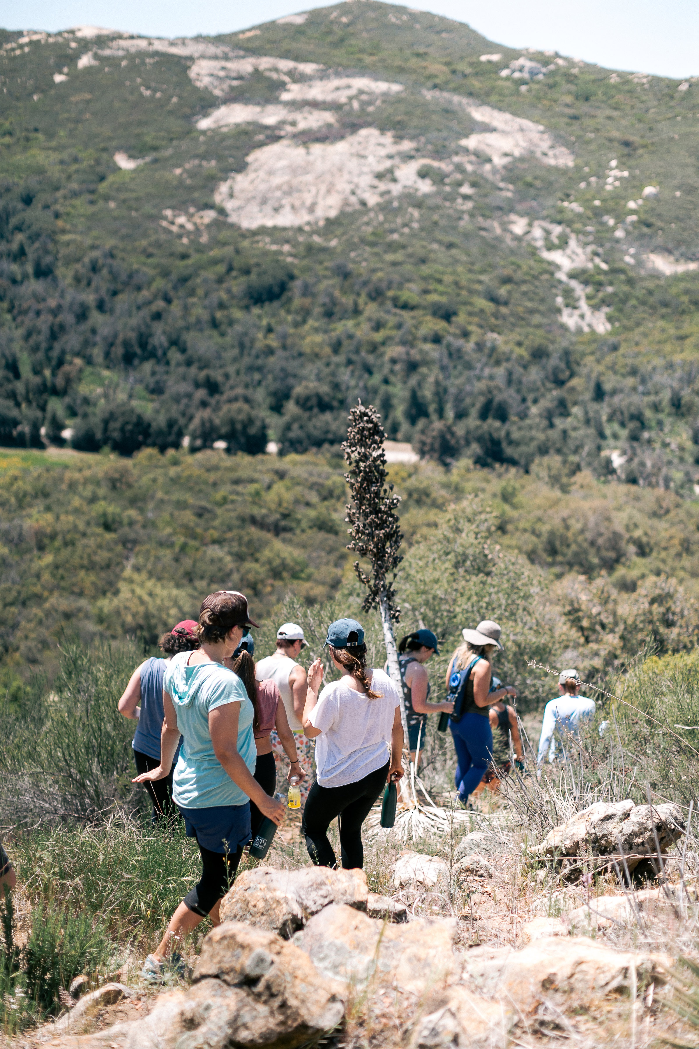 kambriafischerphotography-BlissOutCampOut2018-0228.jpg