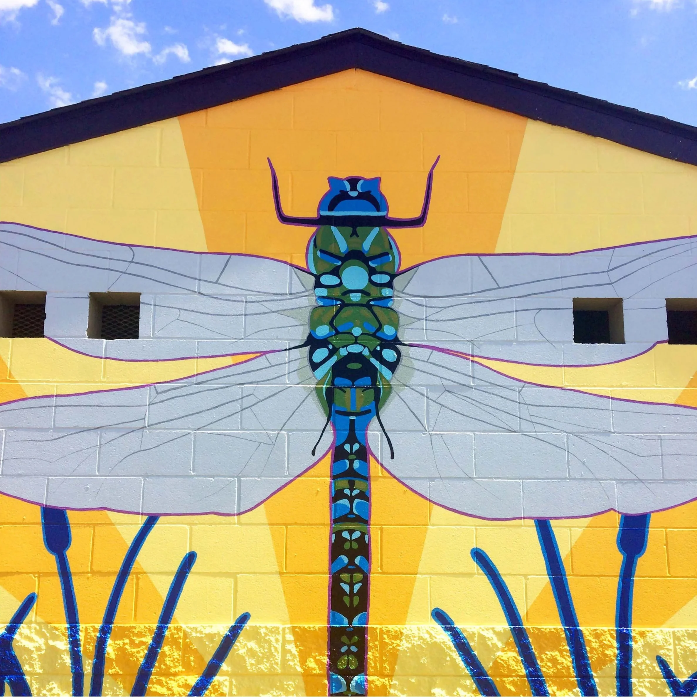 dragonfly2web.jpg
