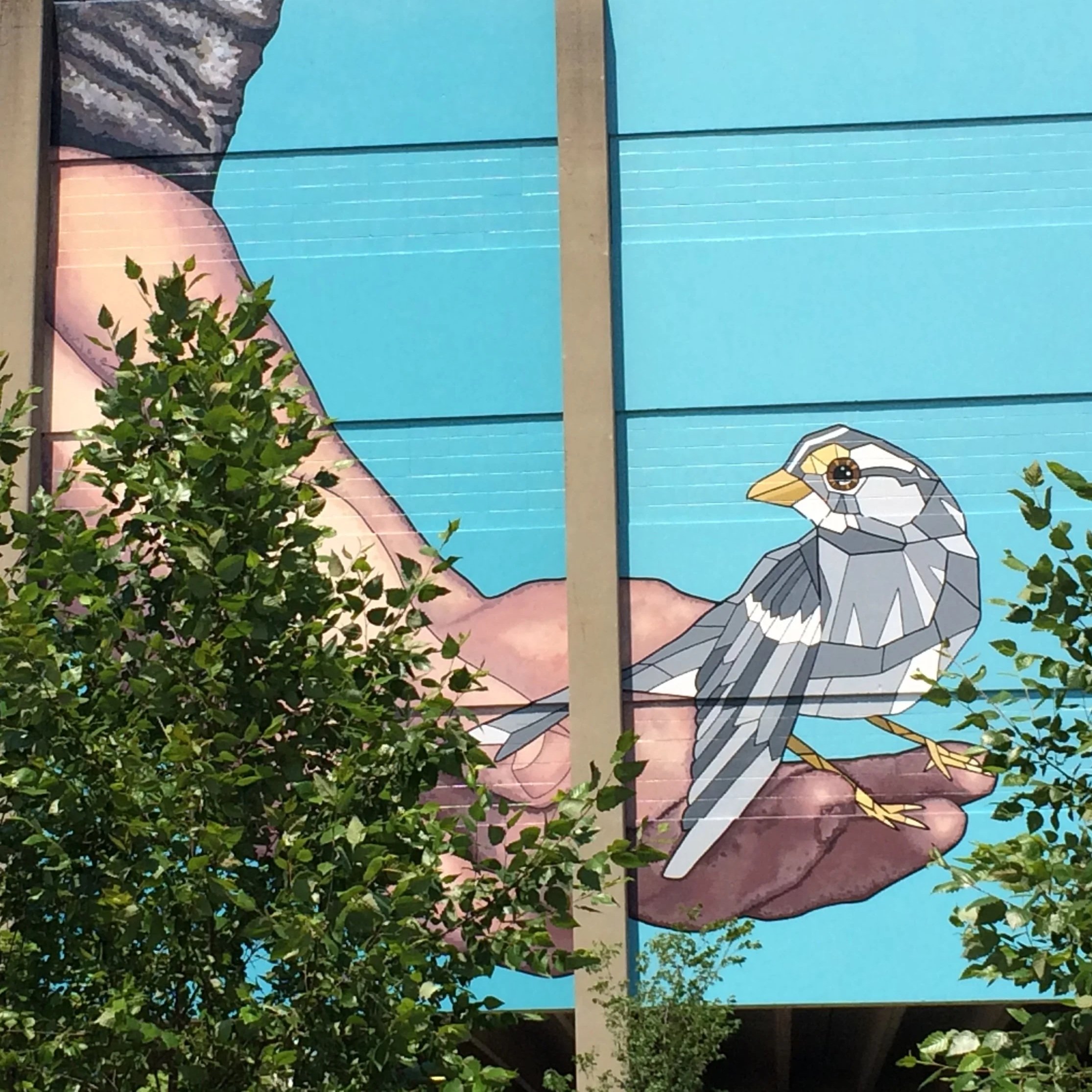 Taking Flight