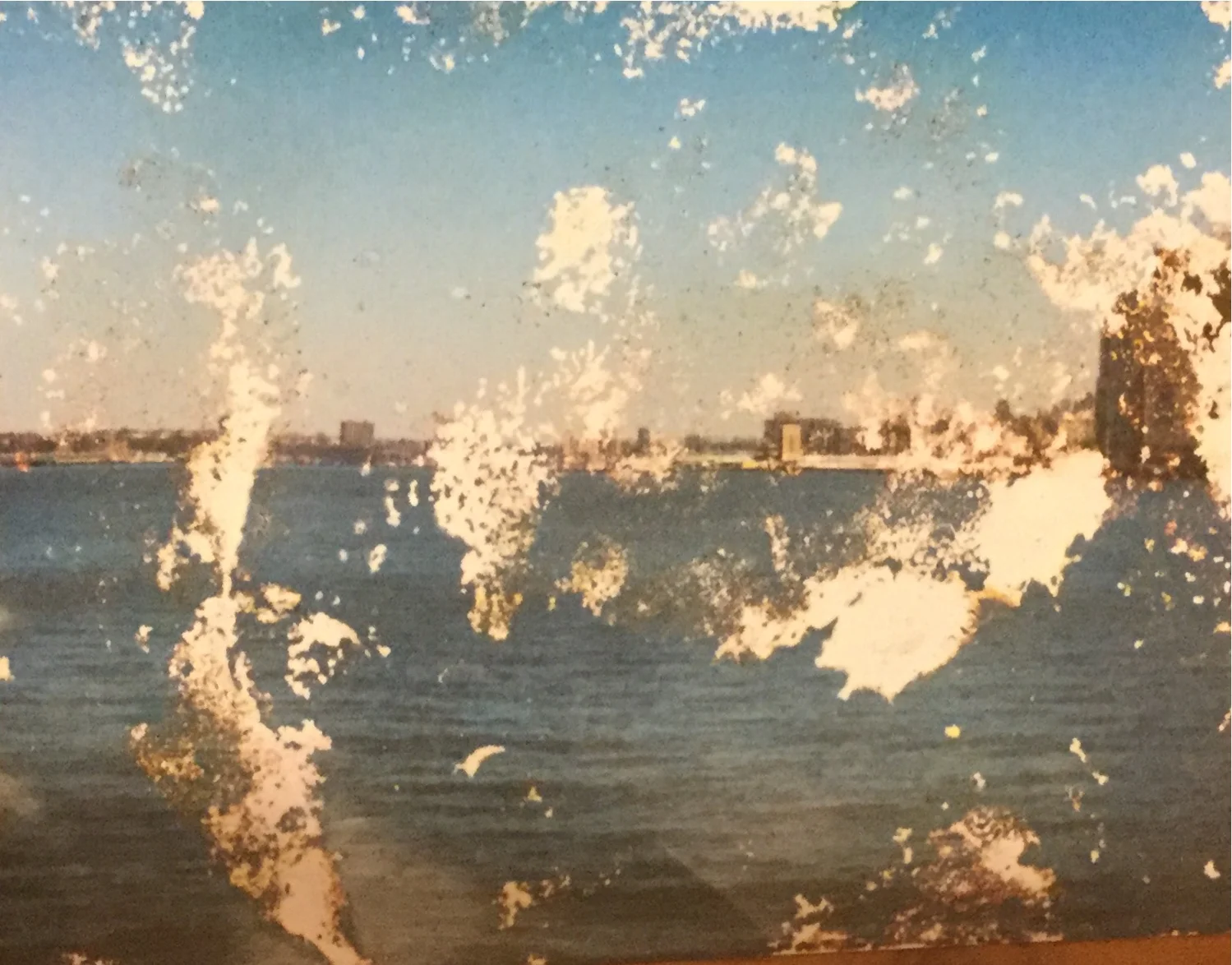 A Year In Nadada: Week Five- Sea Beds