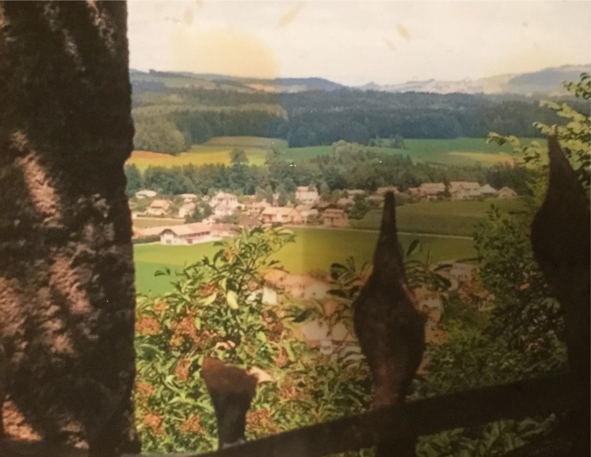 The view from the top of the castle. Photo by Nicola Guenigault. 