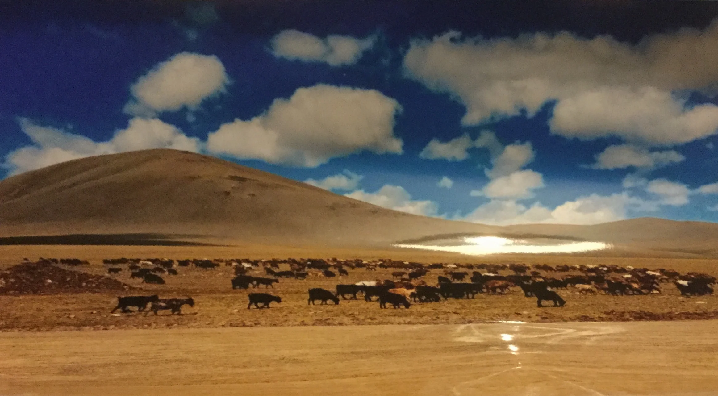 A Year In Nadada: Week Nineteen- Getting The Goat