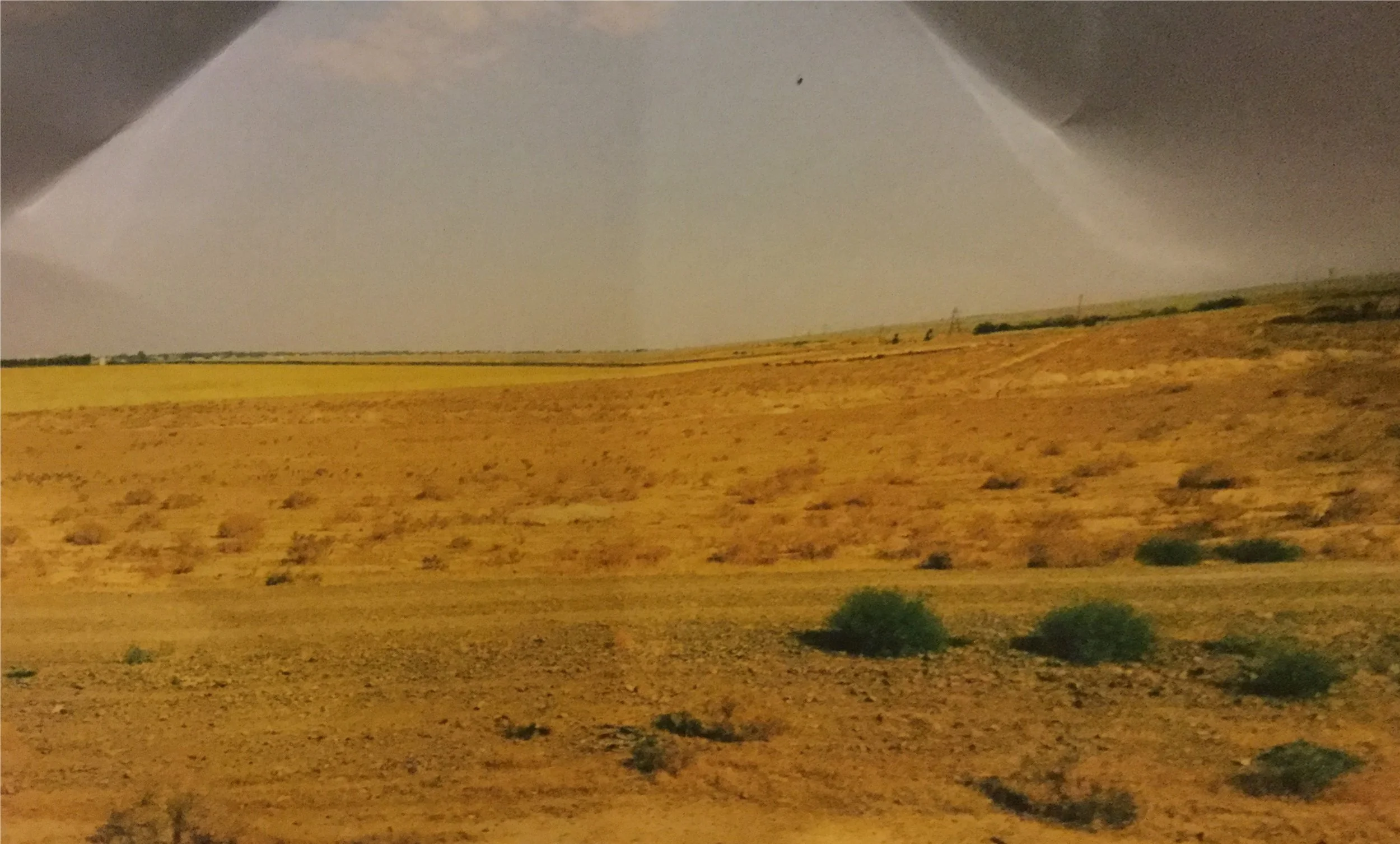 A Year In Nadada: Week Twenty One- Time For Exploring